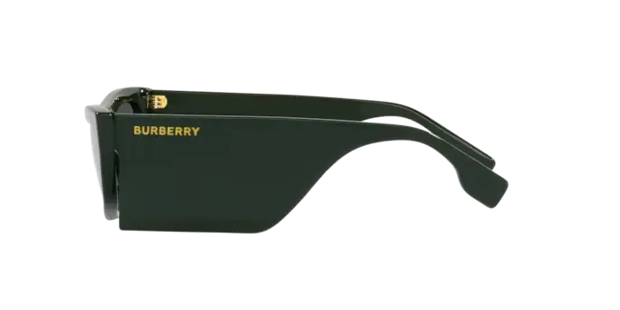 Burberry Palmer BE4385 403887