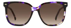 Carrera 3002/S HKZ/HA