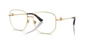 Dolce & Gabbana DG1356 02