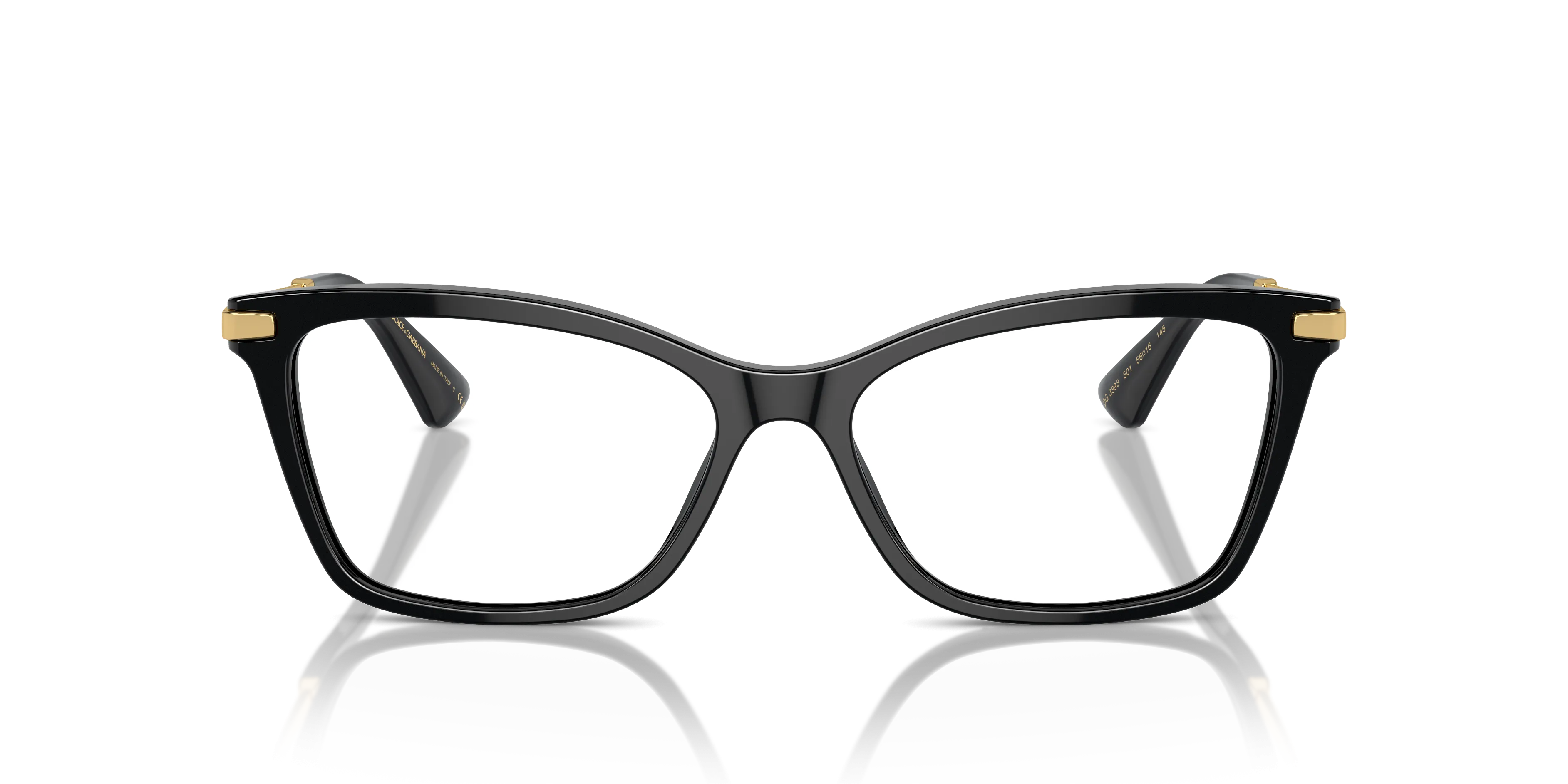 Dolce & Gabbana DG3393 501