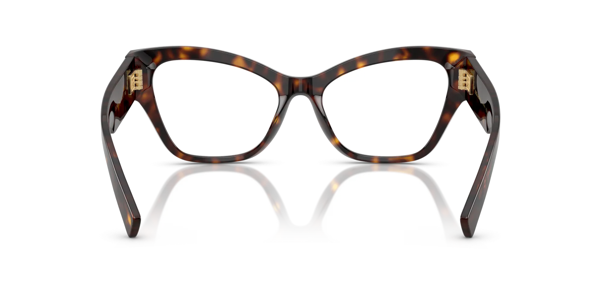 Dolce & Gabbana DG3404 502