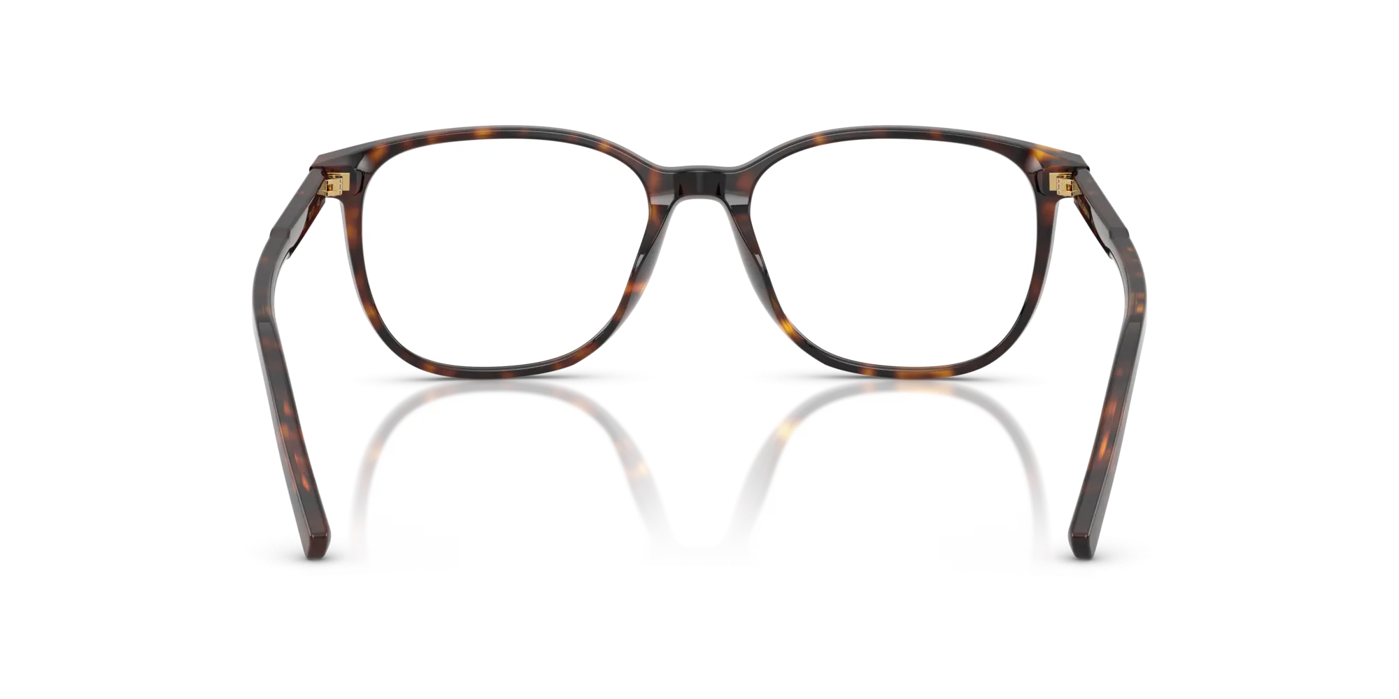 Dolce & Gabbana DG3426 502