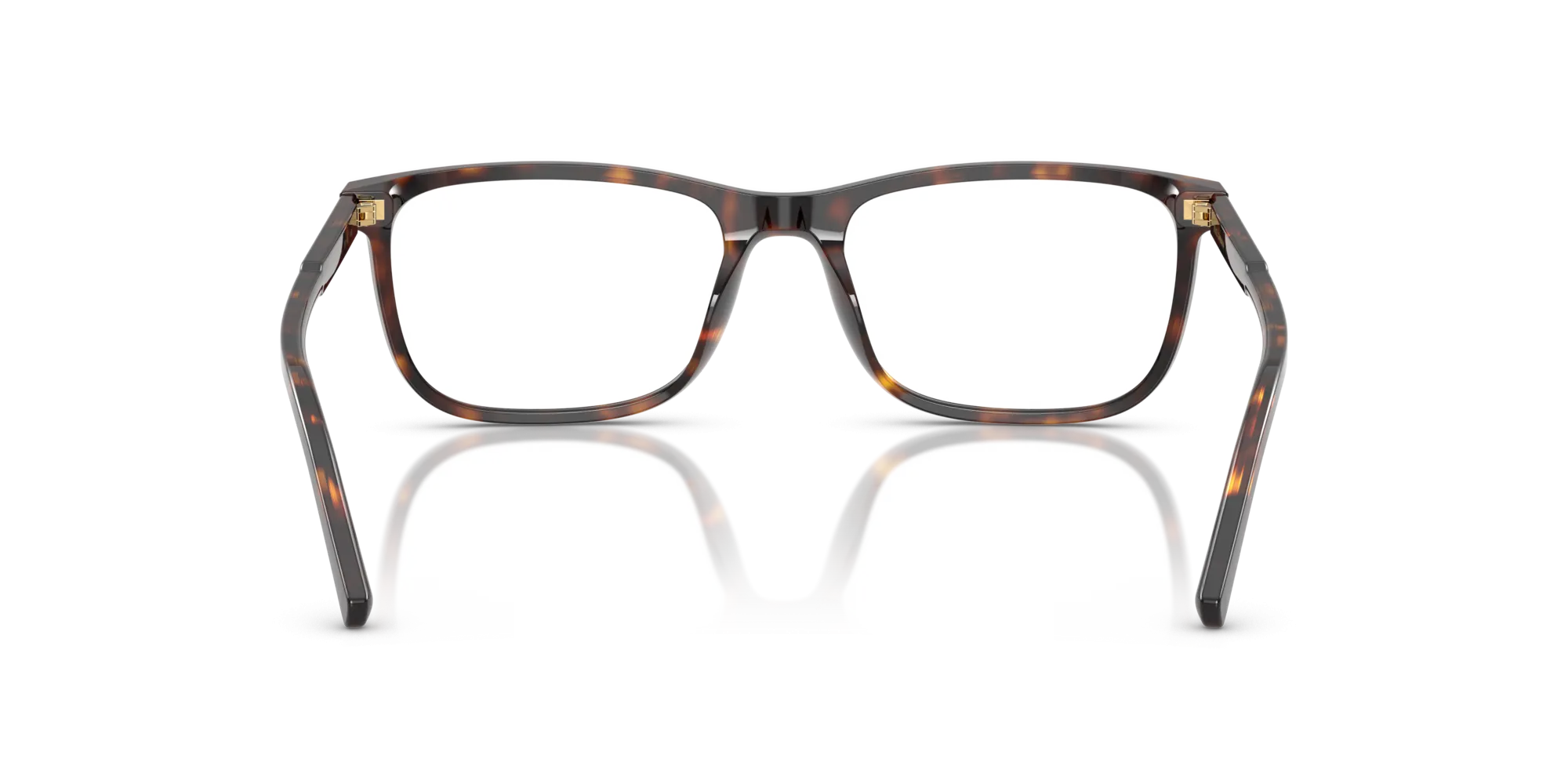 Dolce & Gabbana DG3427 502