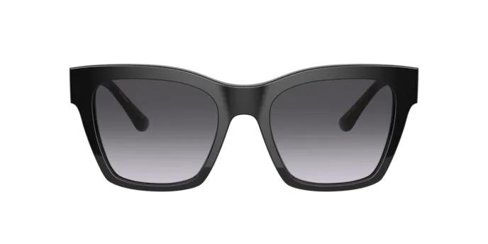 Dolce & Gabbana DG4384 501/8G