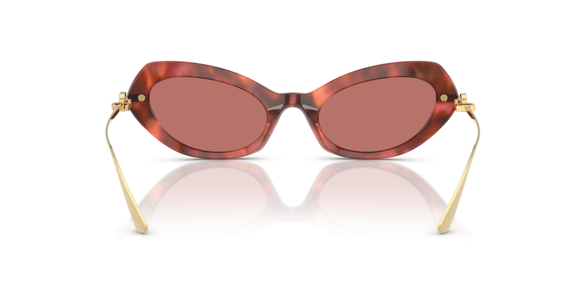 Dolce & Gabbana DG4473 344469