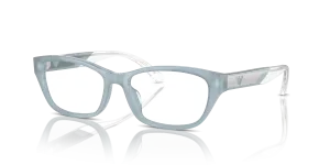 Emporio Armani EA3238U 6096