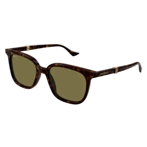 Gucci GG1493S 002