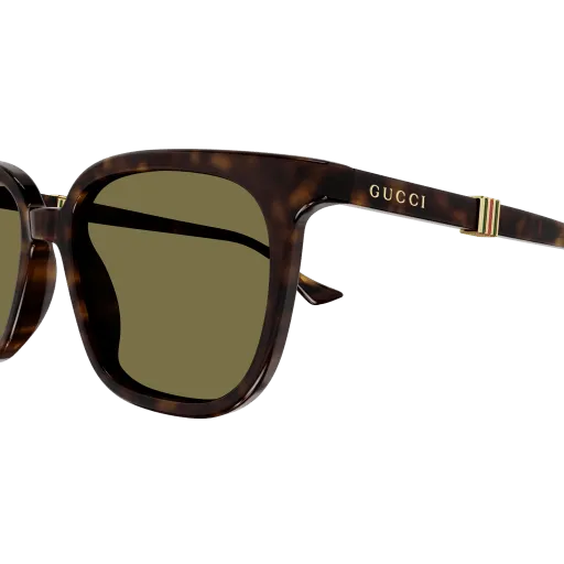 Gucci GG1493S 002