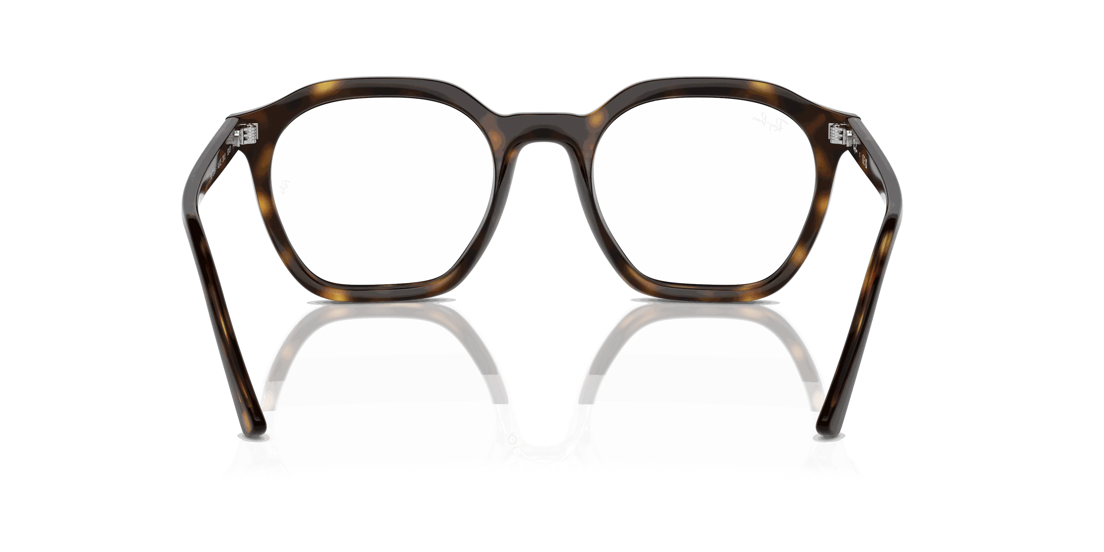 RayBan ALICE OPTICS