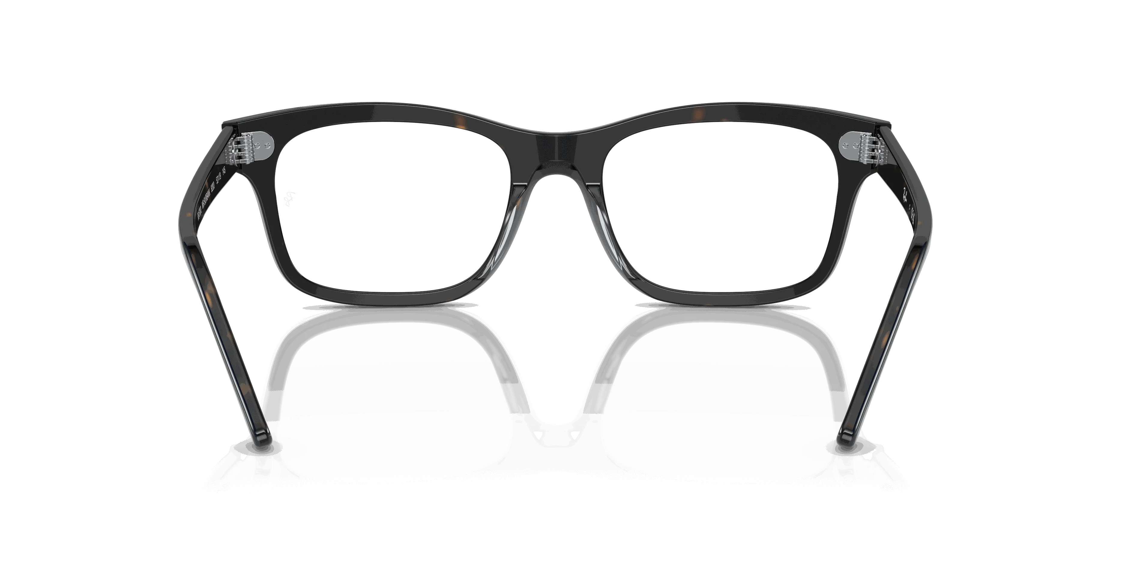 RayBan BURBANK OPTICS