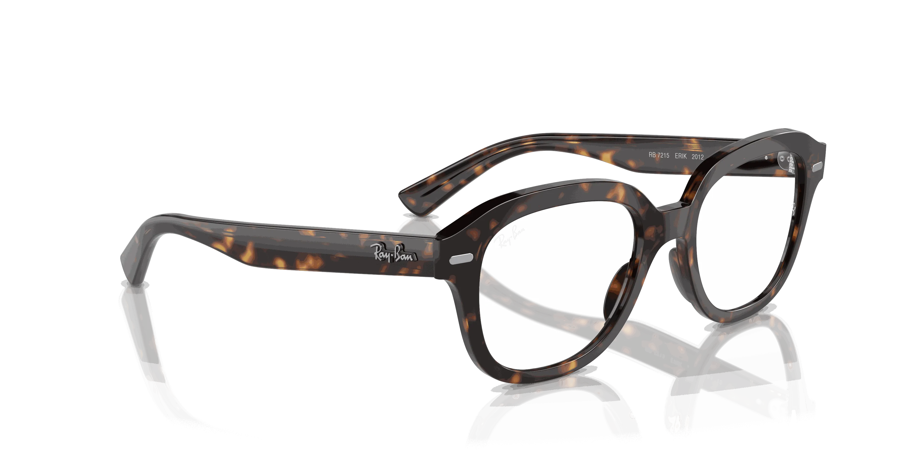 RayBan ERIK OPTICS