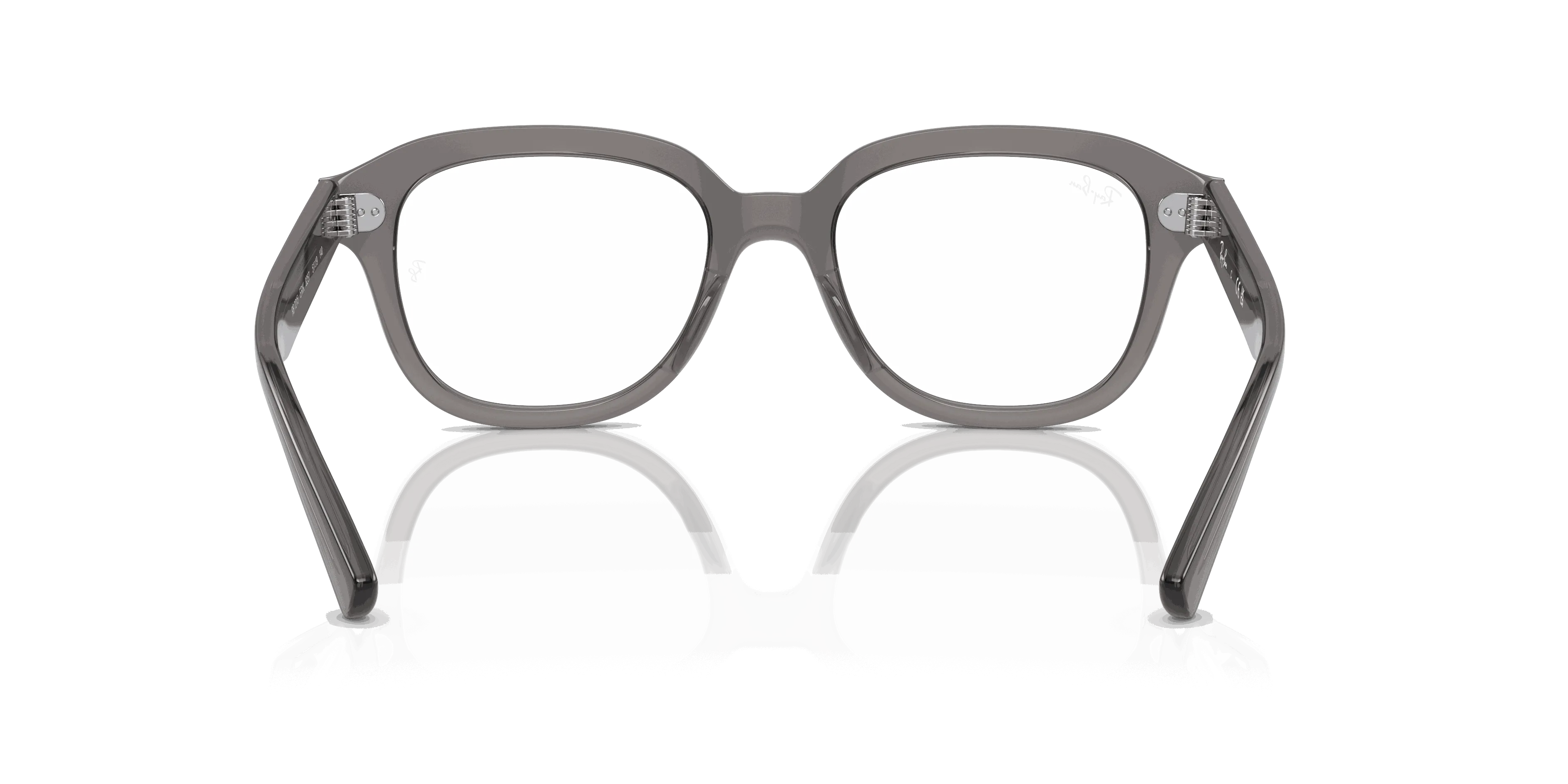 RayBan ERIK OPTICS