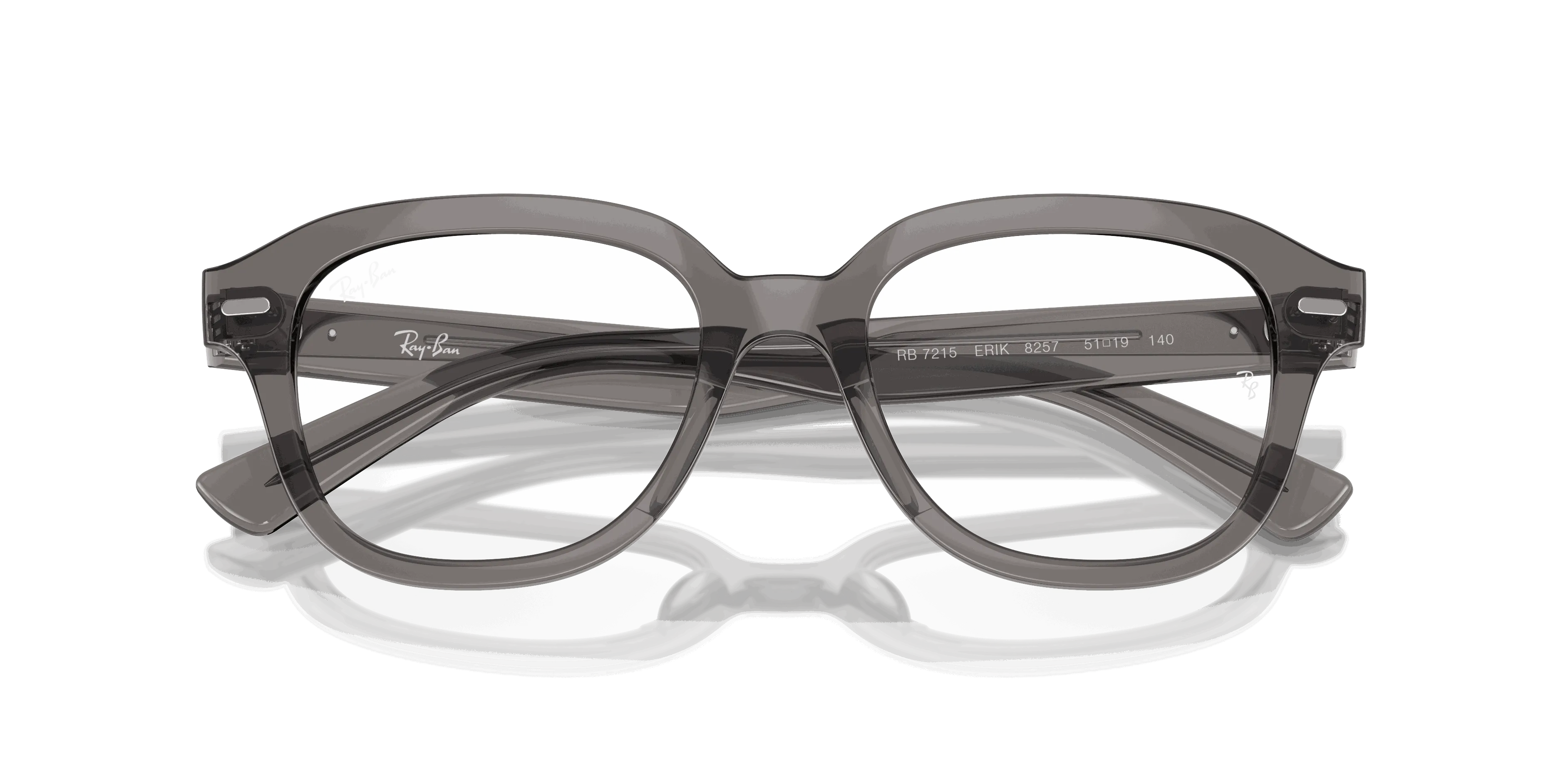 RayBan ERIK OPTICS