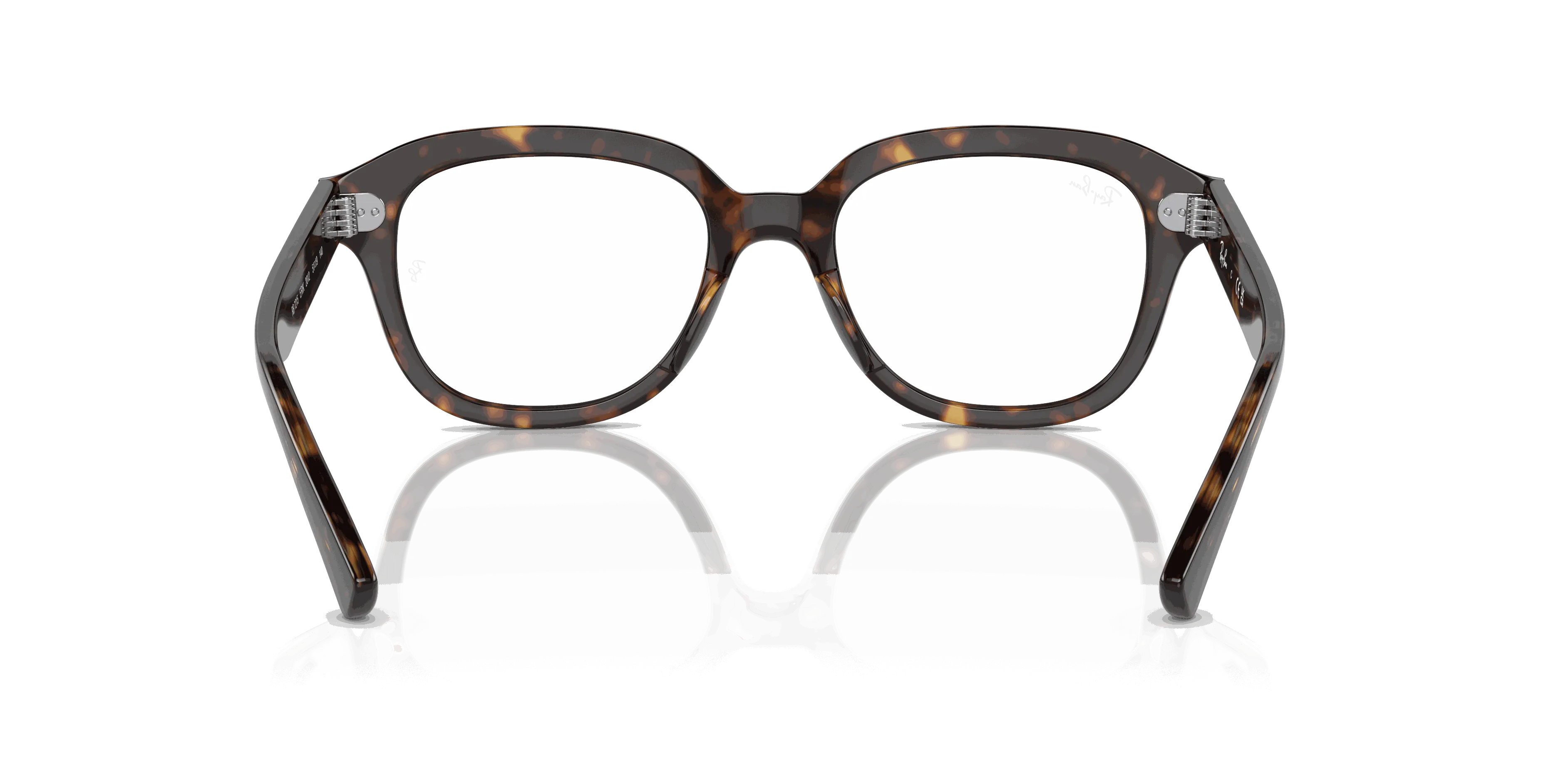 RayBan ERIK OPTICS