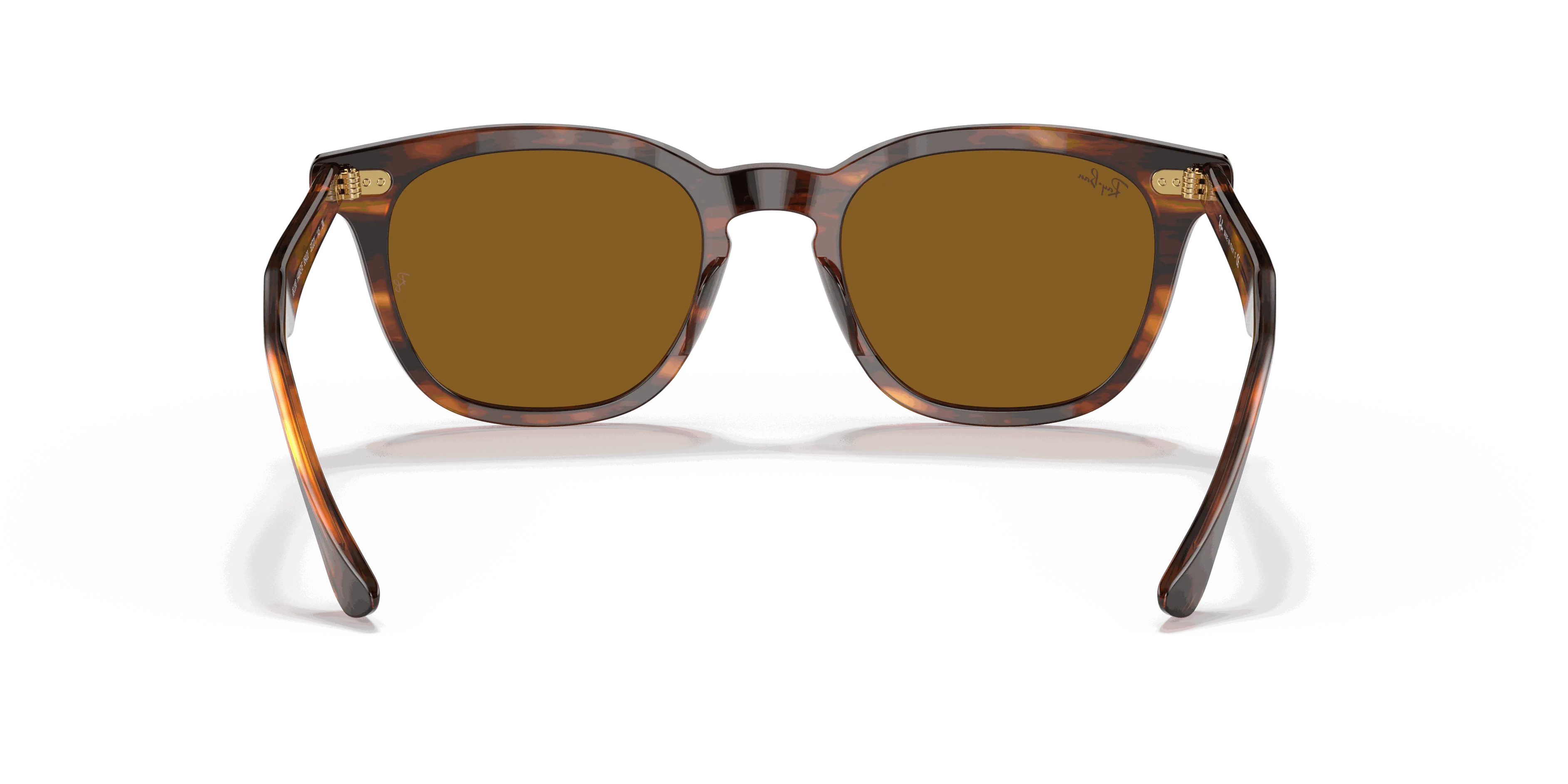 RayBan HAWKEYE