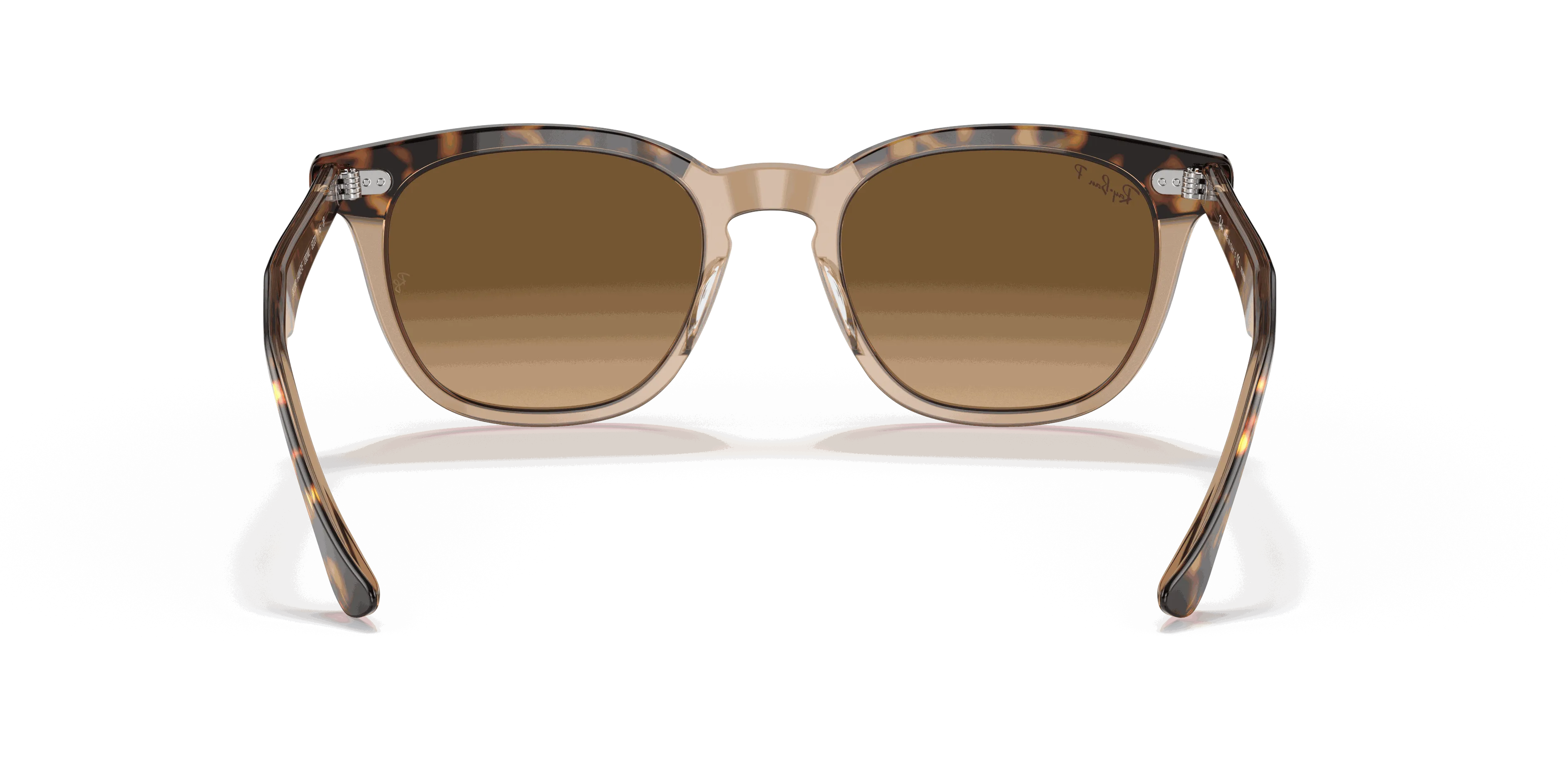 RayBan HAWKEYE