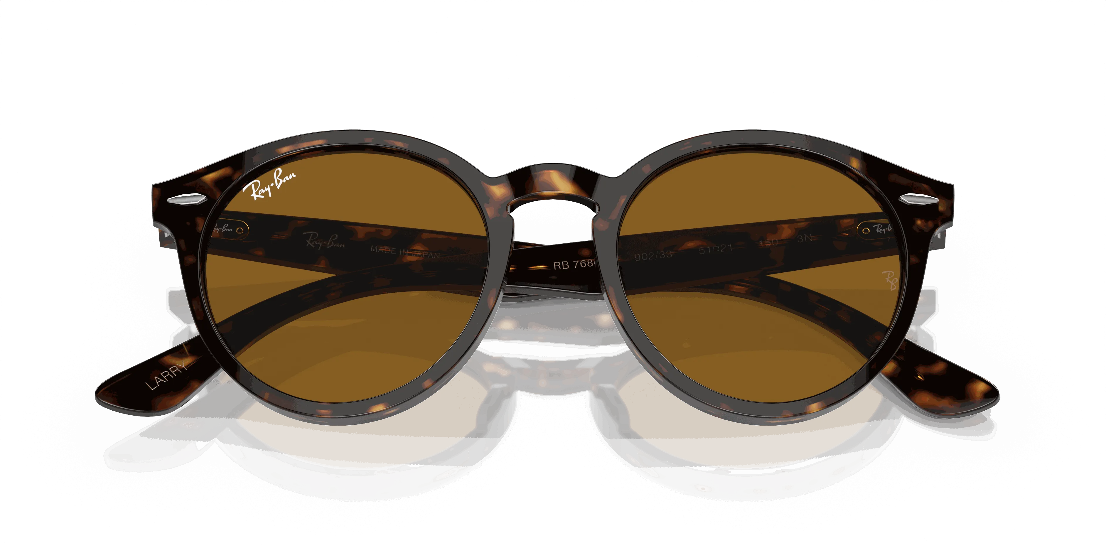 RayBan LARRY