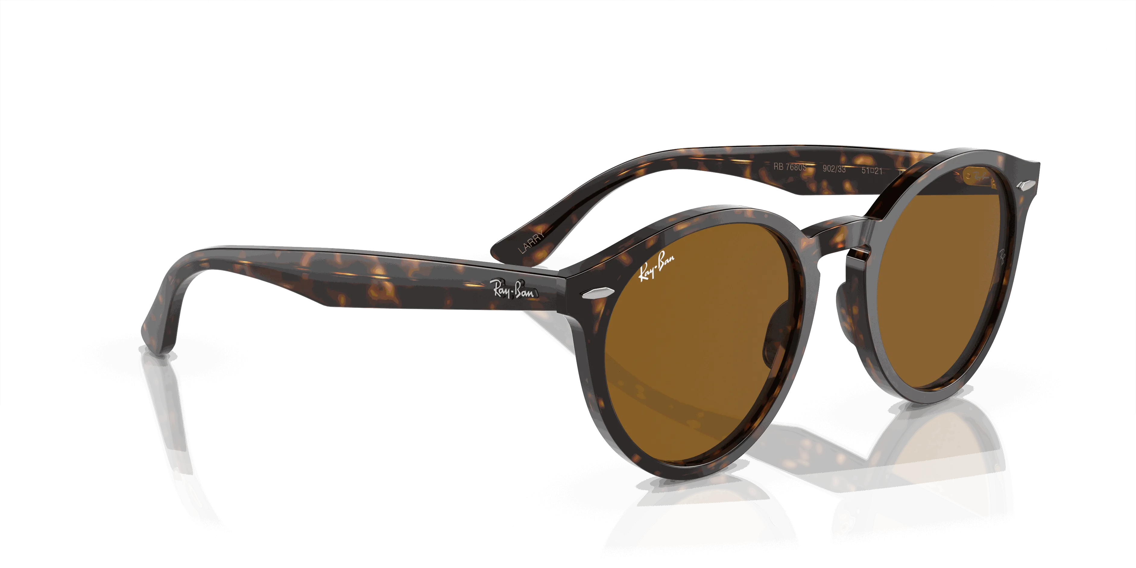 RayBan LARRY
