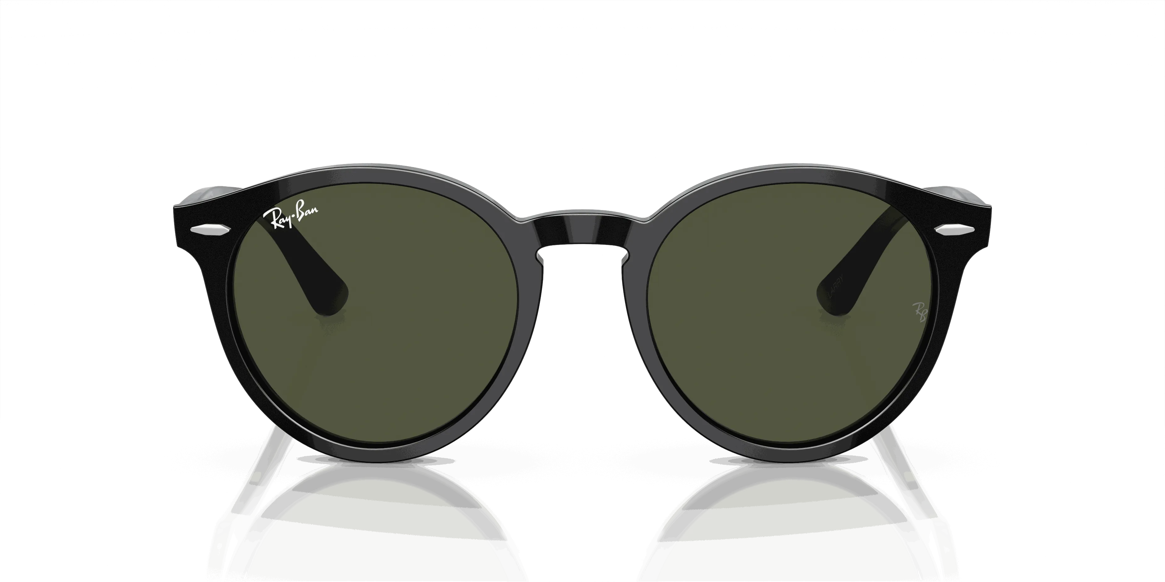 RayBan LARRY