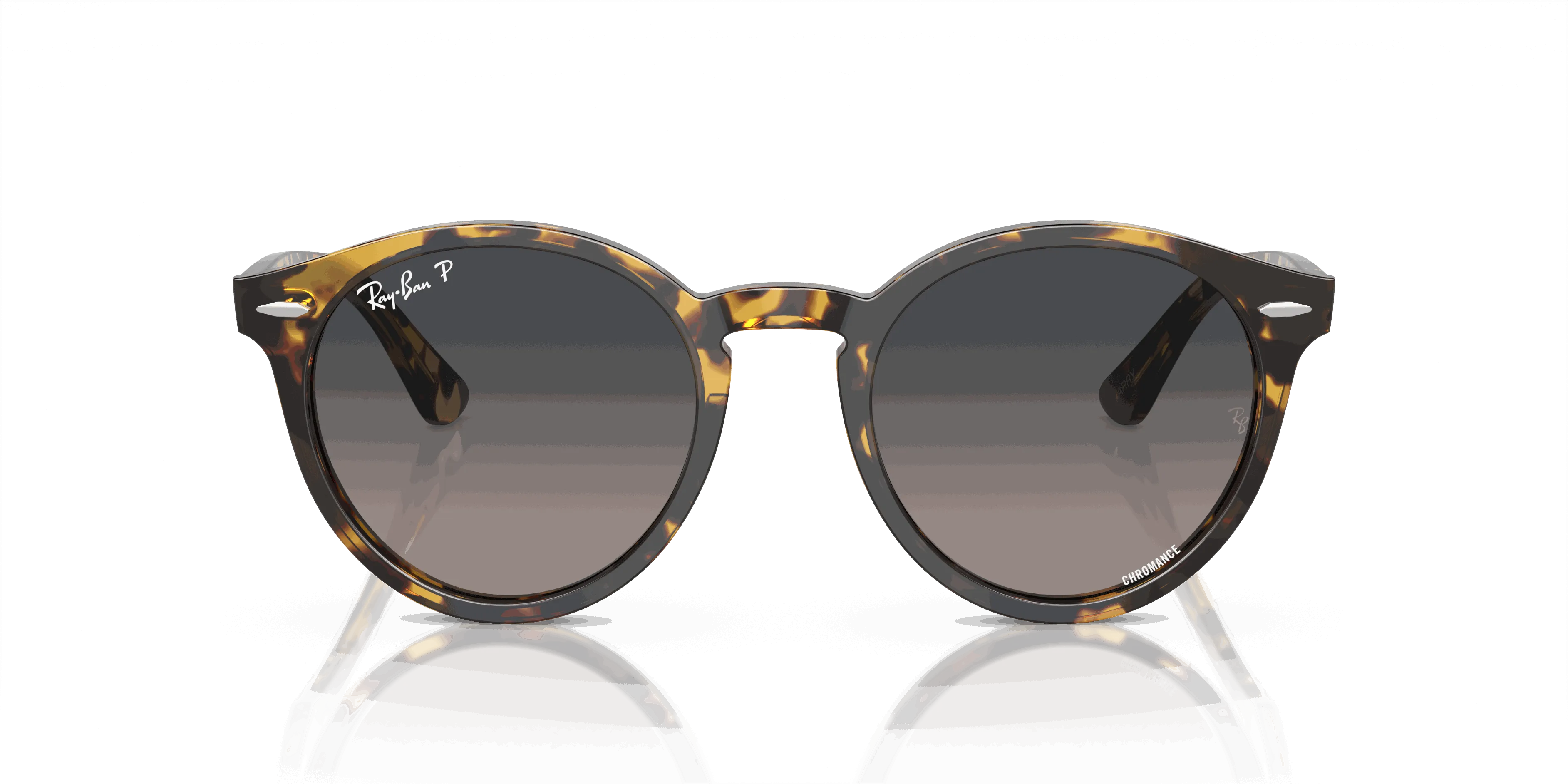 RayBan LARRY
