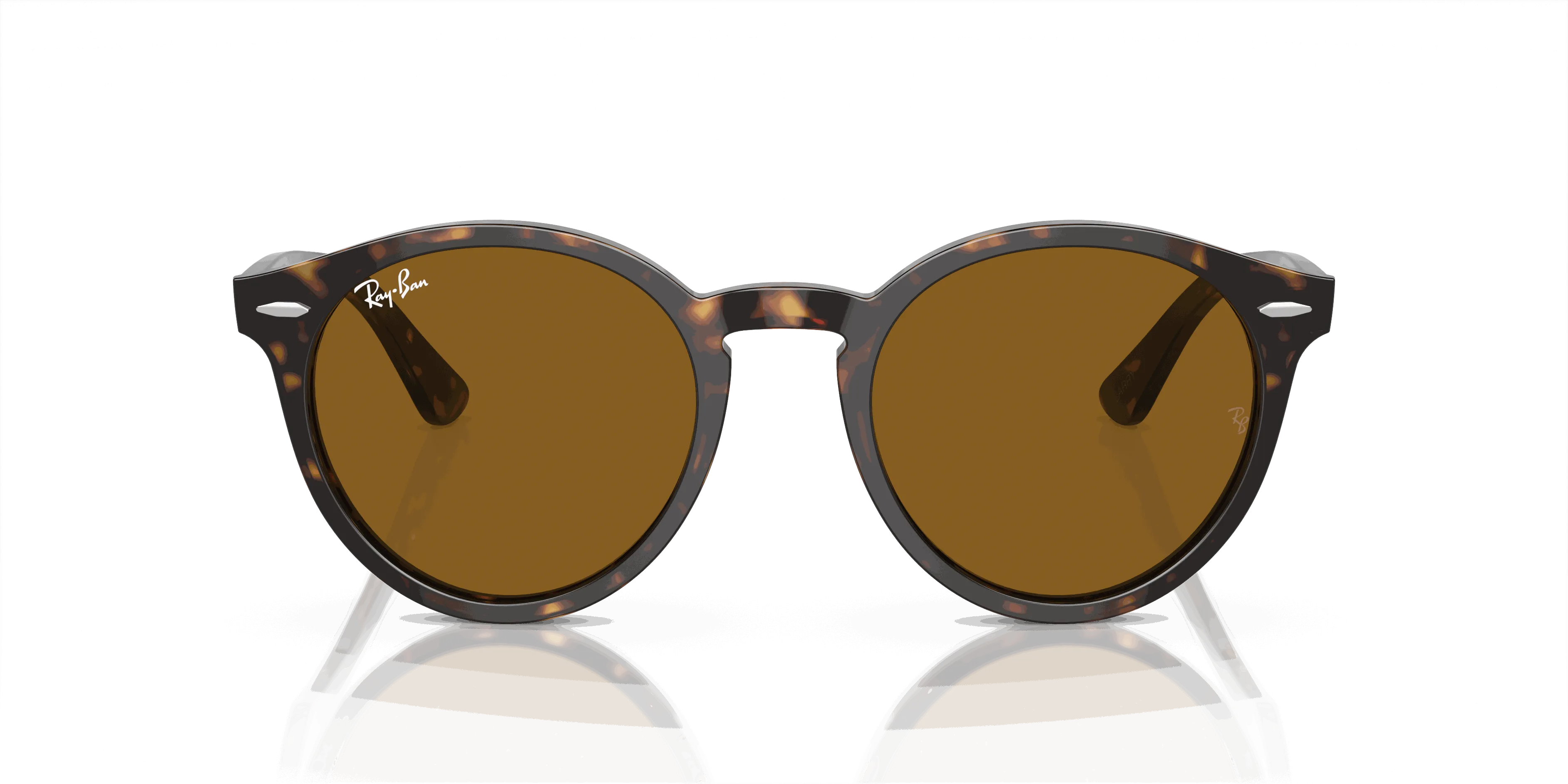 RayBan LARRY