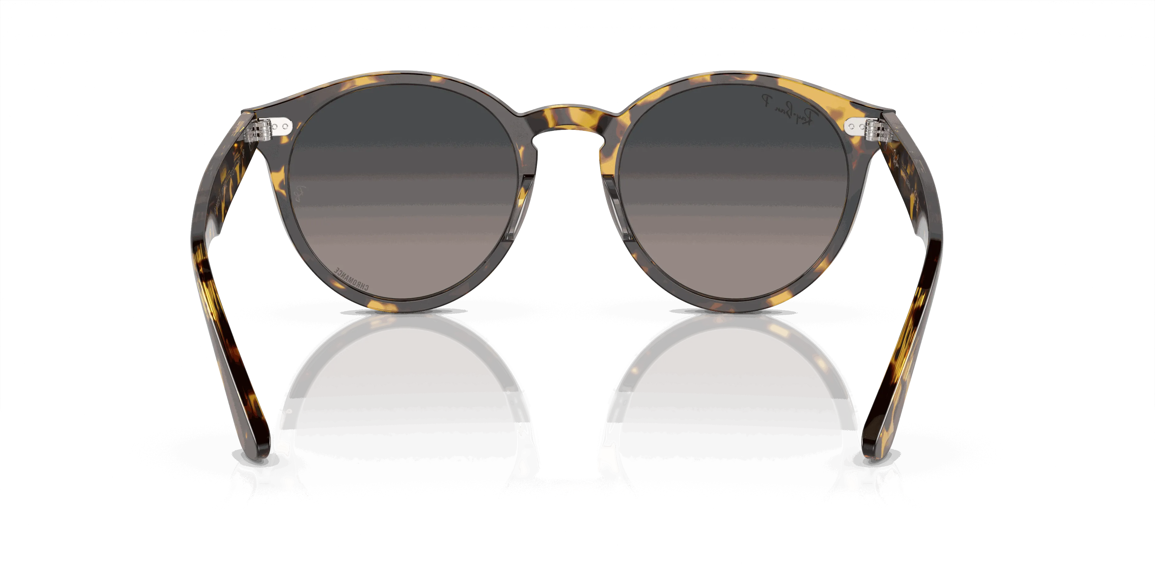 RayBan LARRY