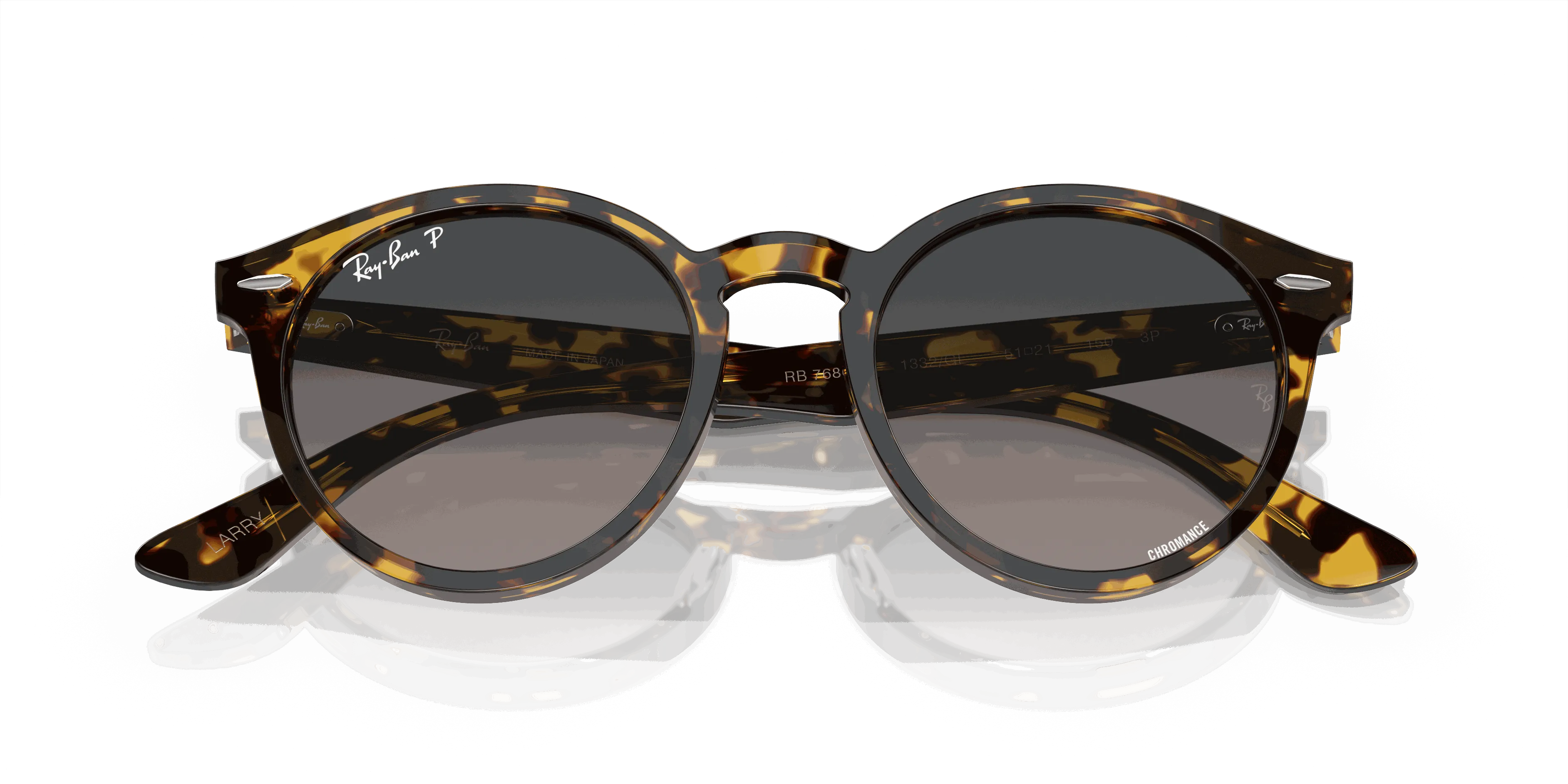 RayBan LARRY