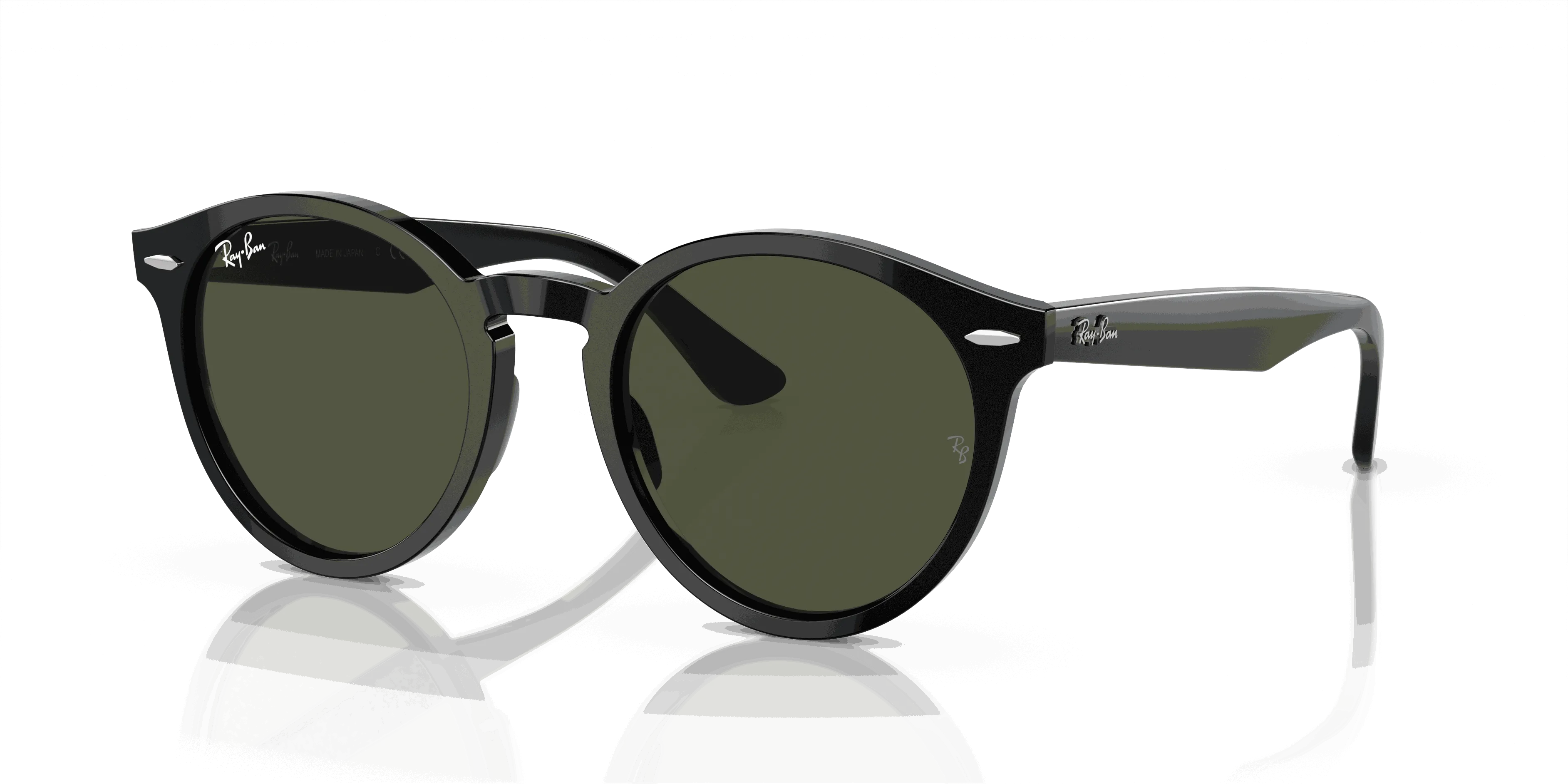 RayBan LARRY