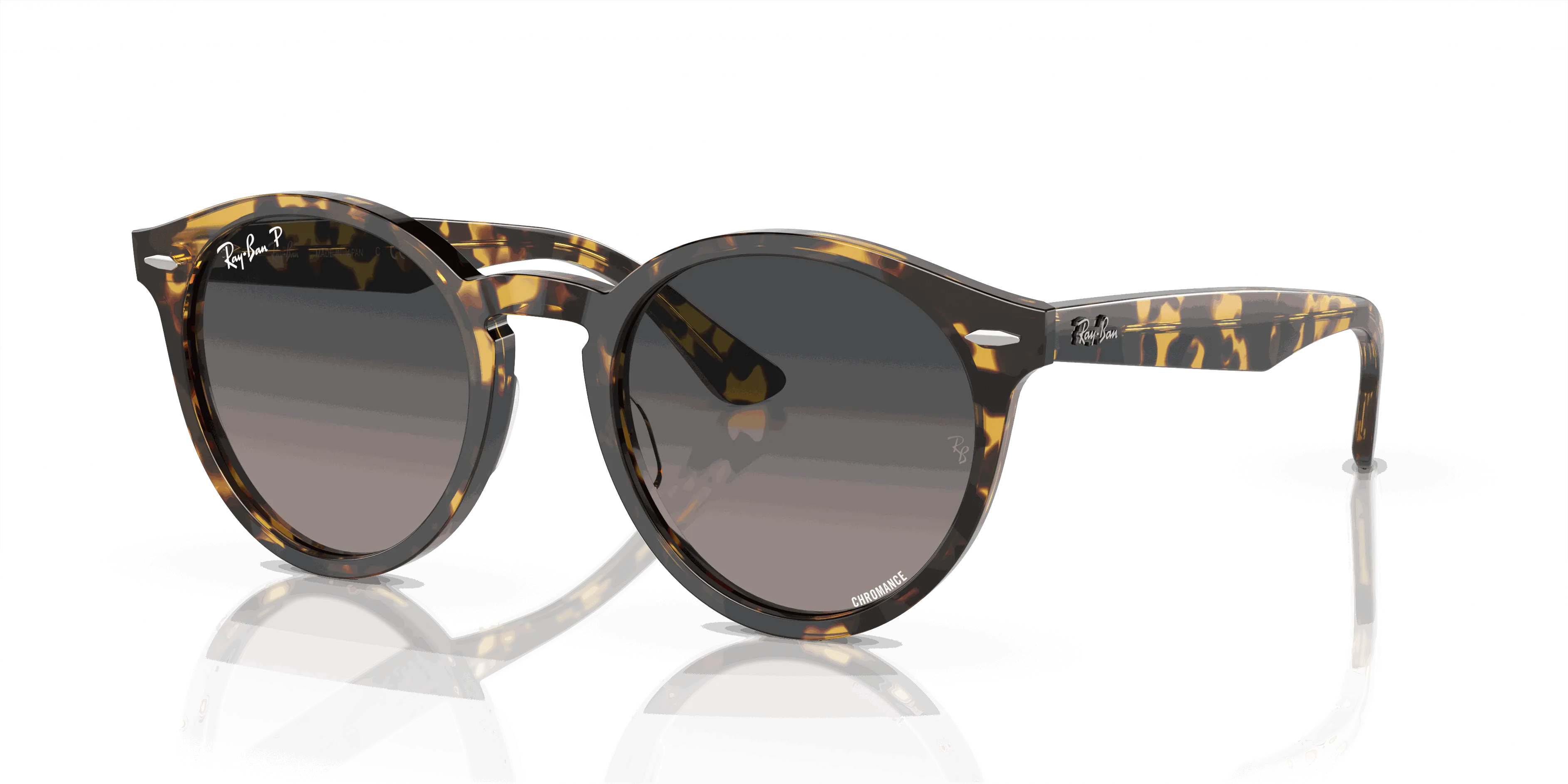 RayBan LARRY