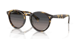 RayBan LARRY
