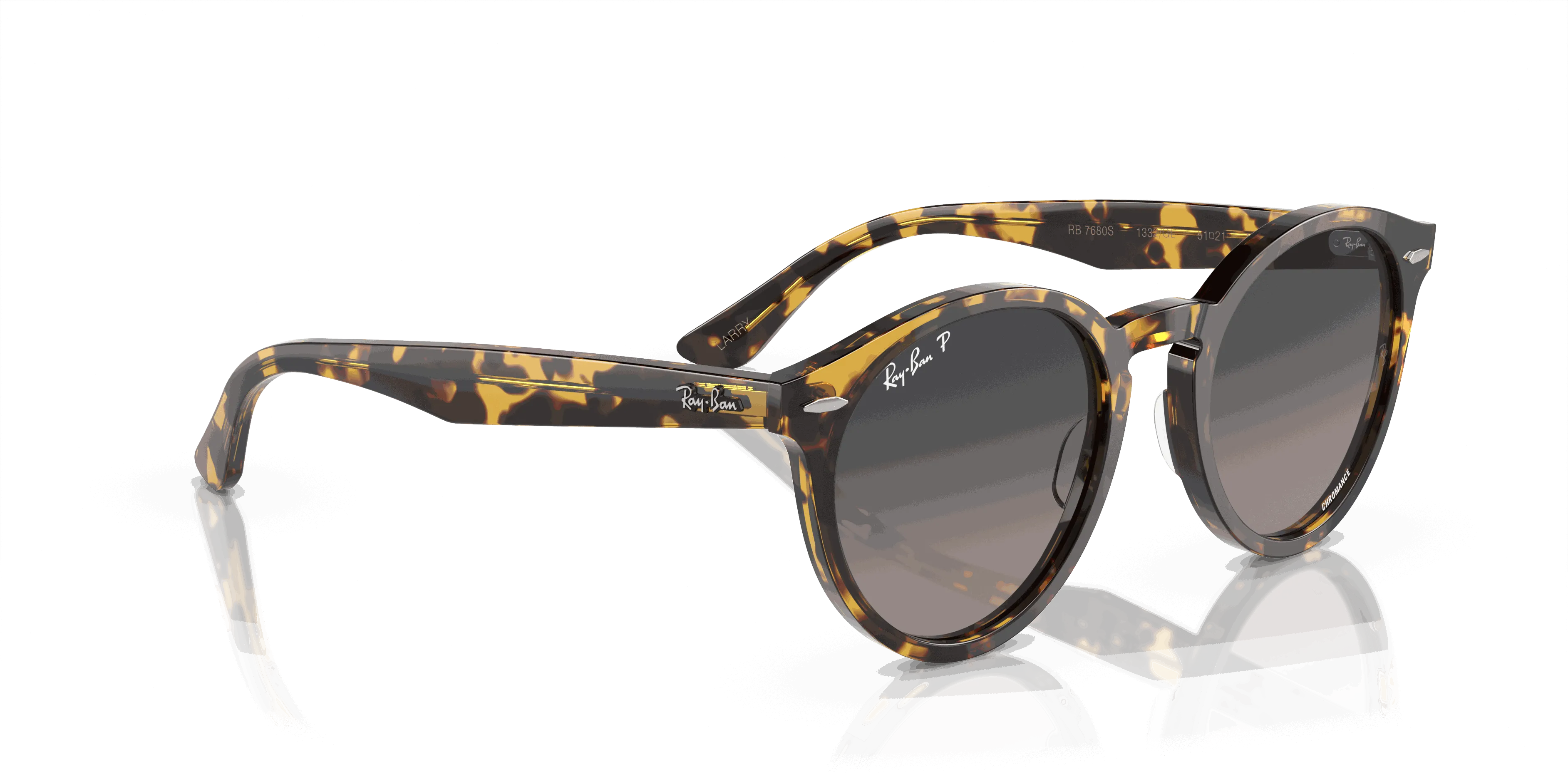 RayBan LARRY