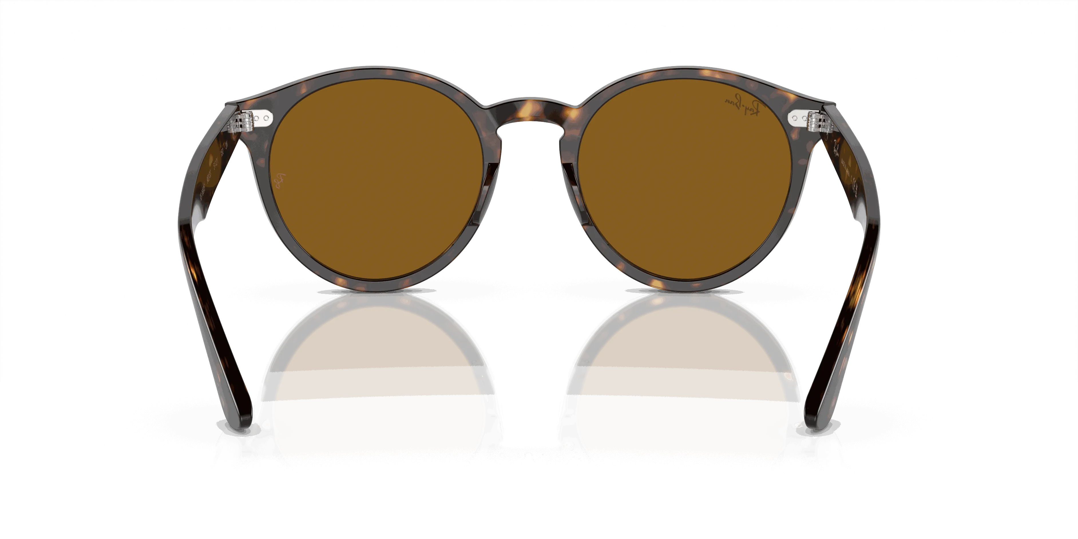 RayBan LARRY