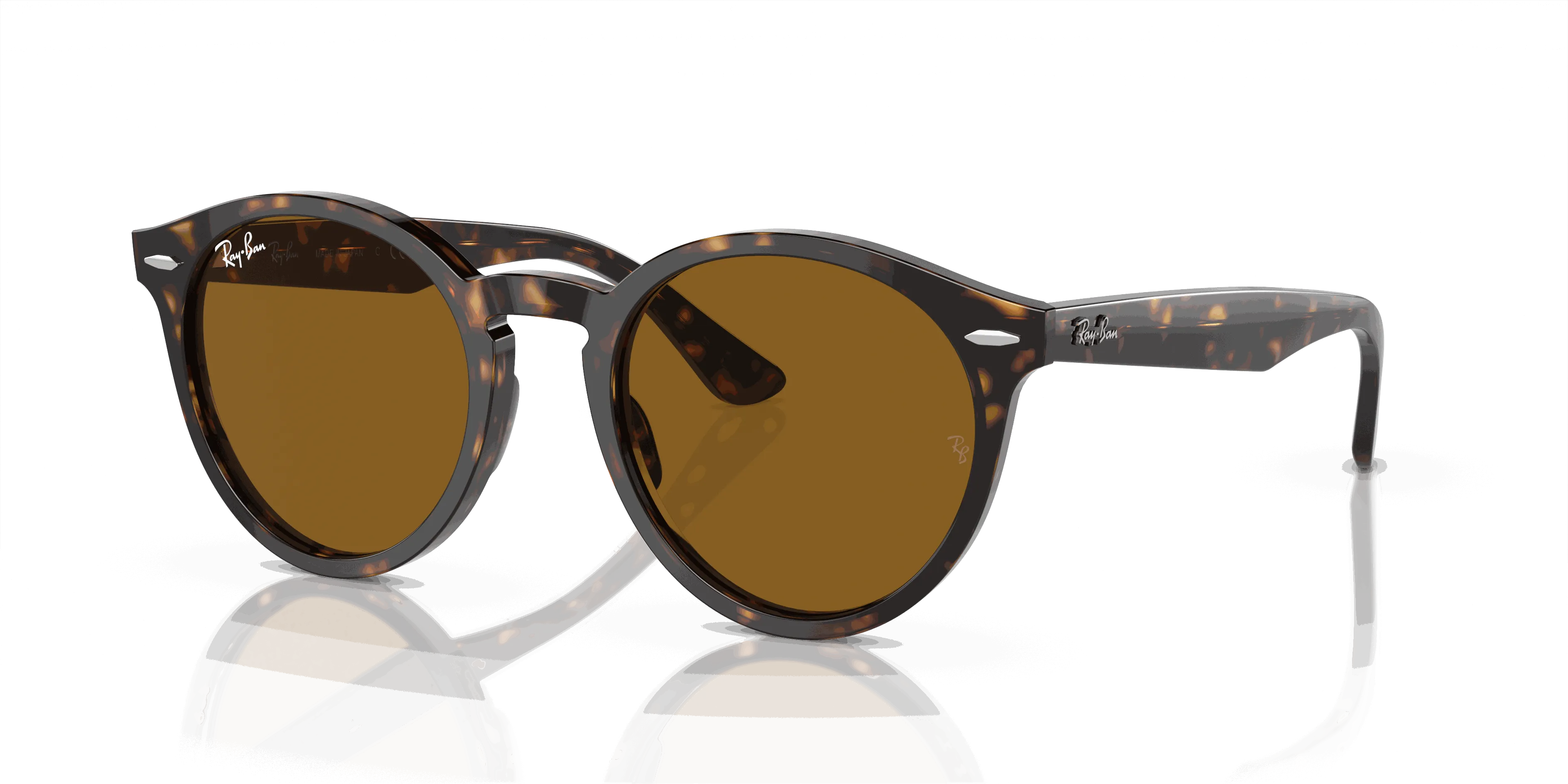 RayBan LARRY