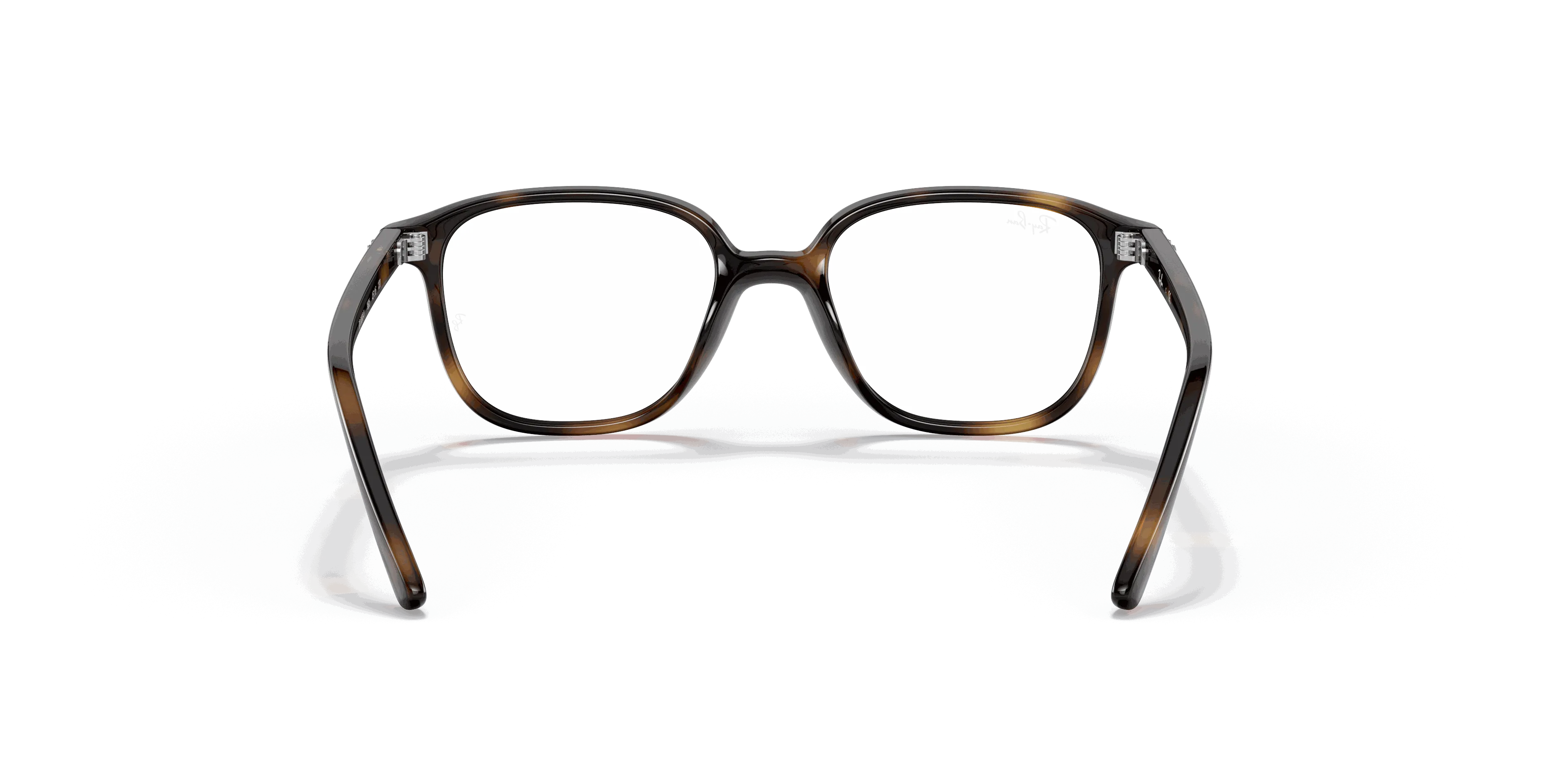 RayBan LEONARD OPTICS KIDS