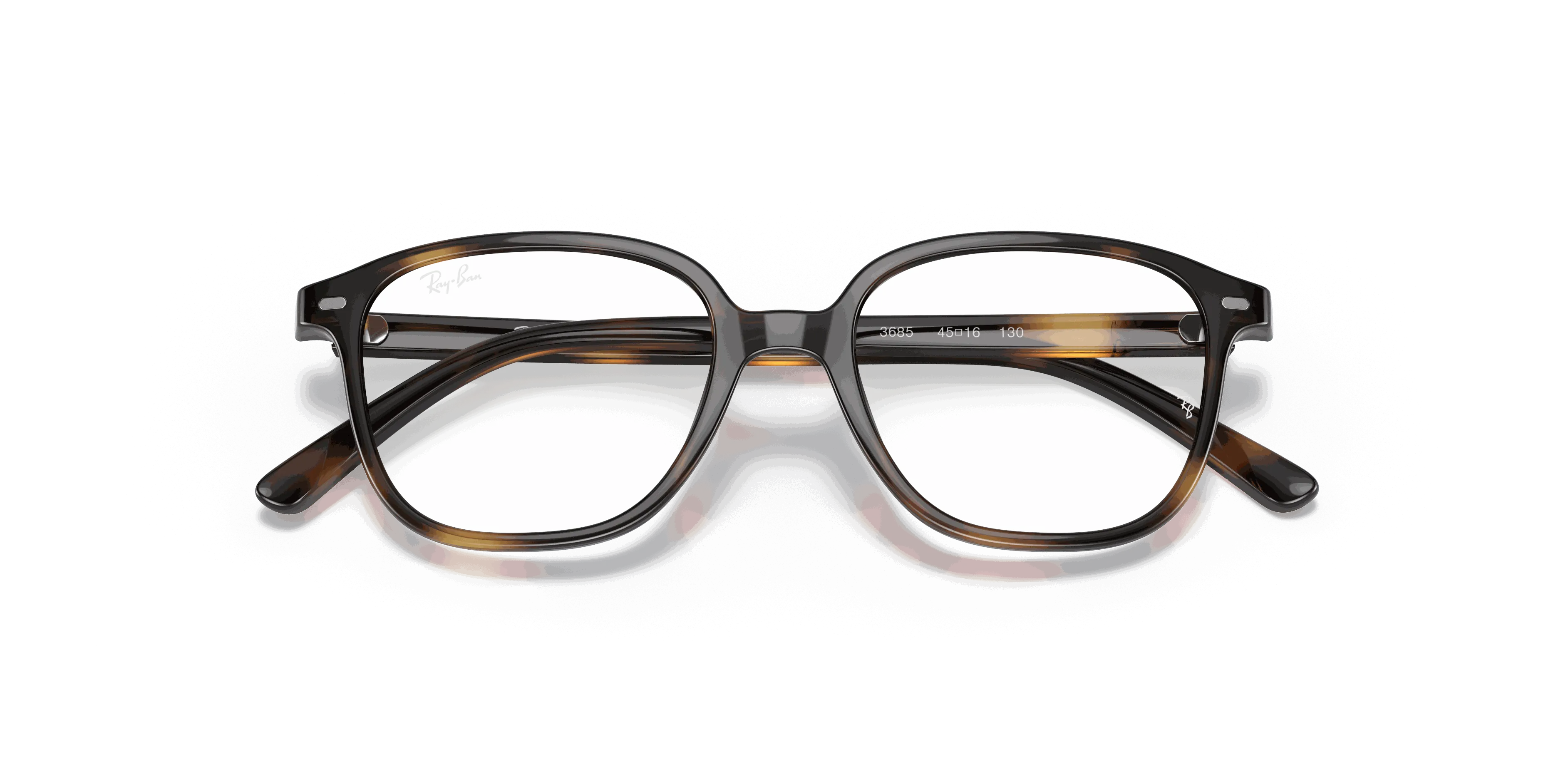 RayBan LEONARD OPTICS KIDS