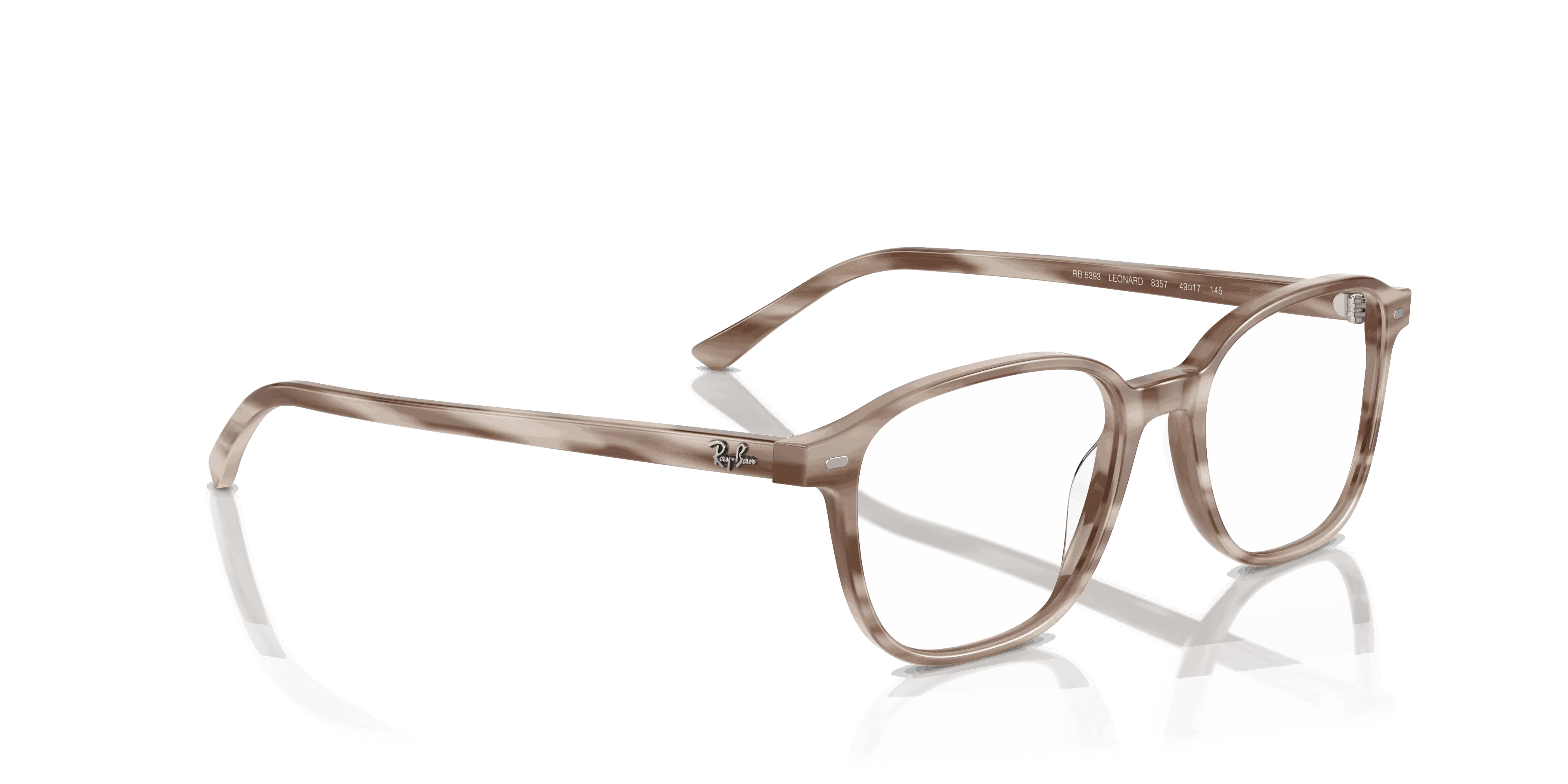RayBan LEONARD OPTICS