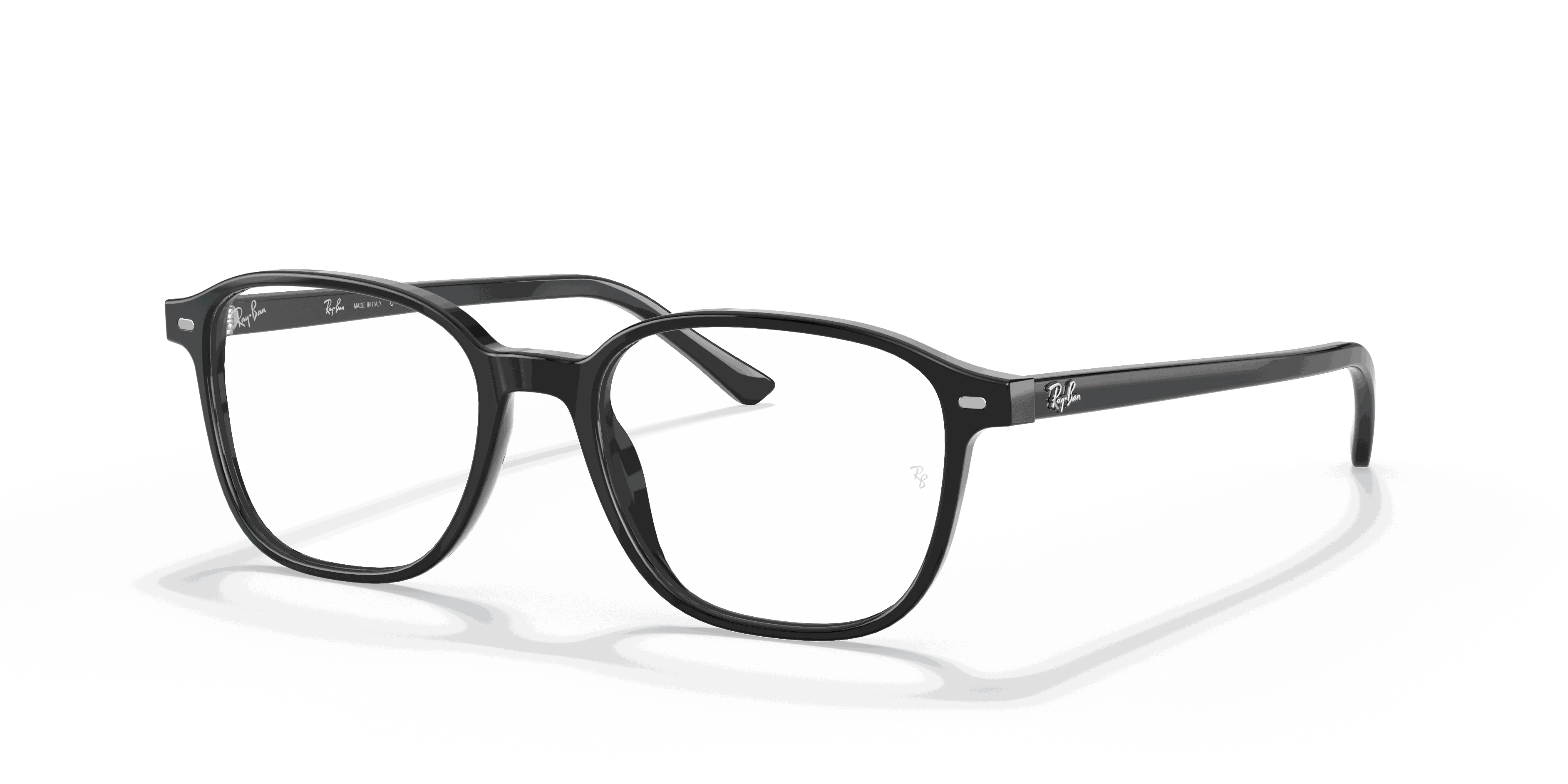RayBan LEONARD OPTICS