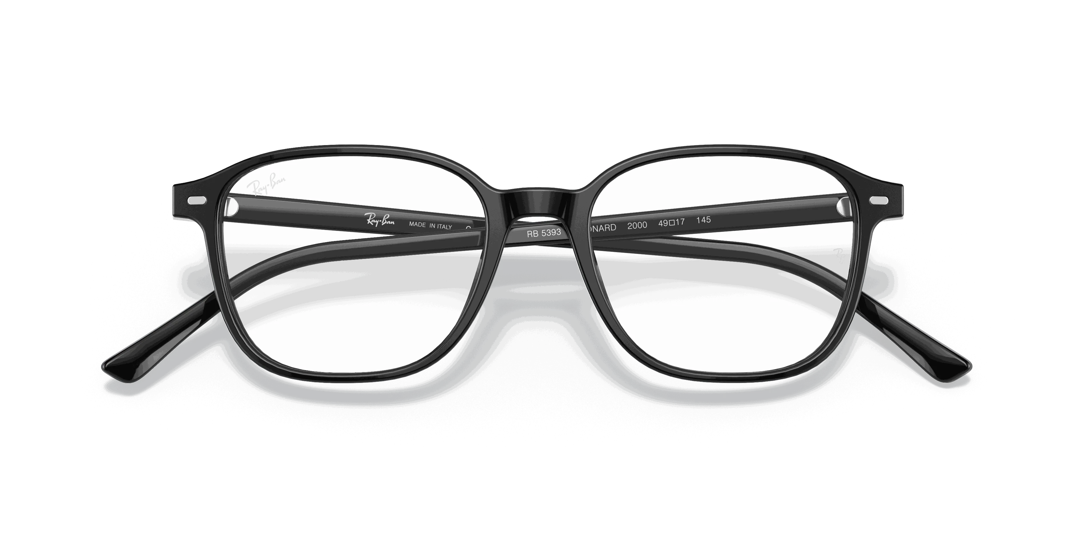 RayBan LEONARD OPTICS
