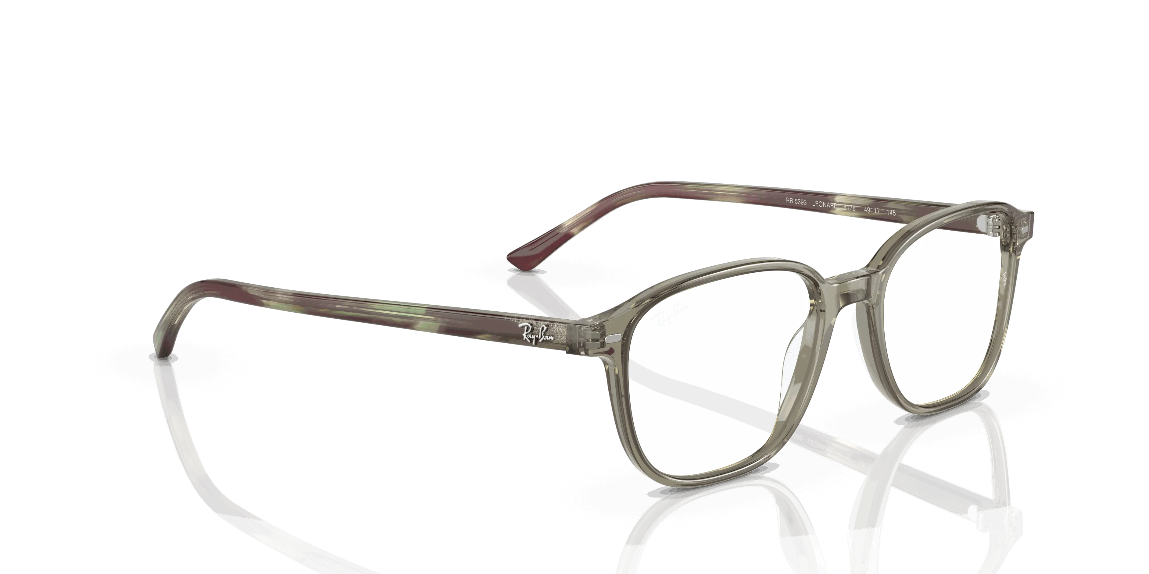 RayBan LEONARD OPTICS