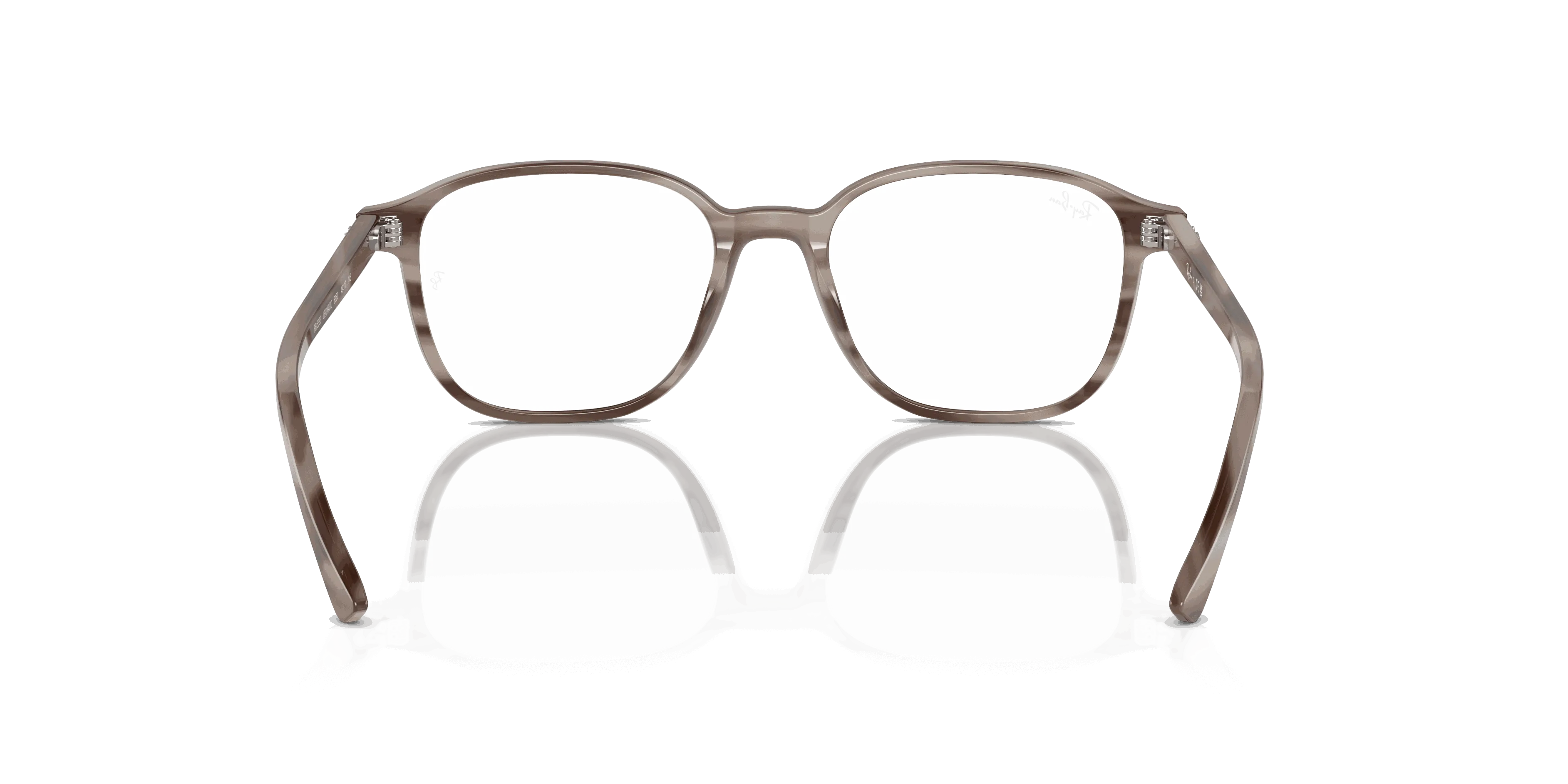 RayBan LEONARD OPTICS