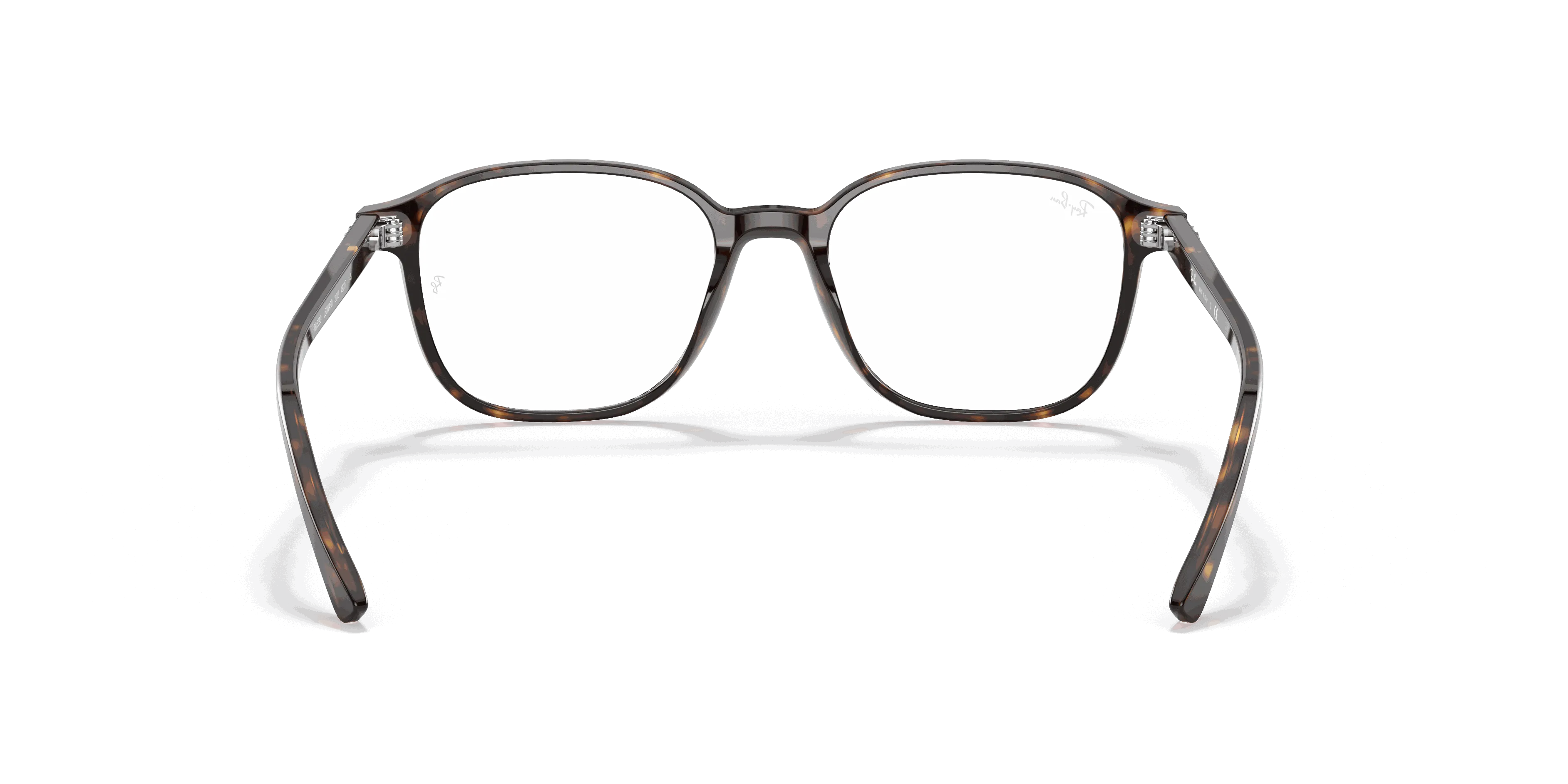 RayBan LEONARD OPTICS