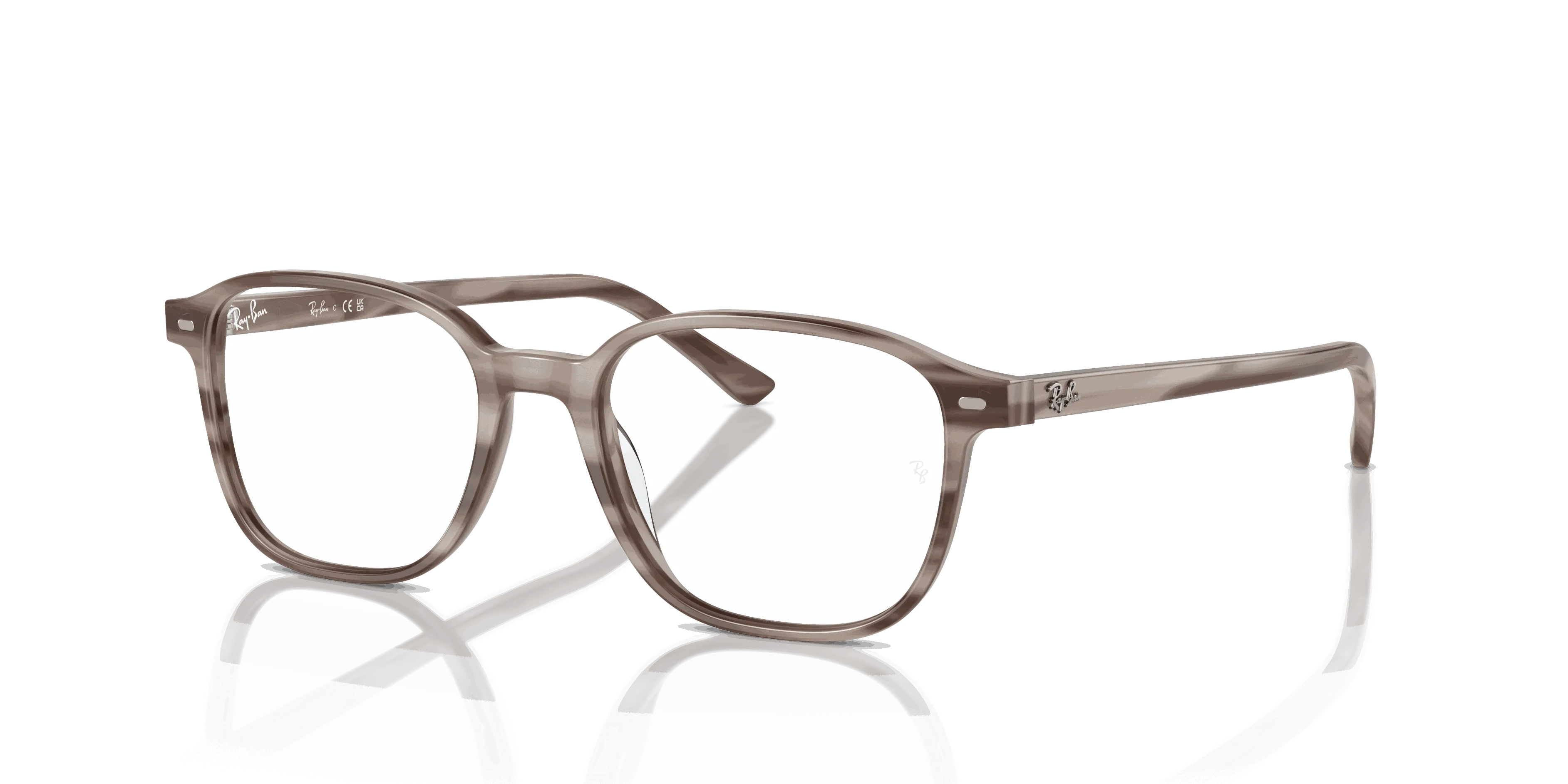 RayBan LEONARD OPTICS