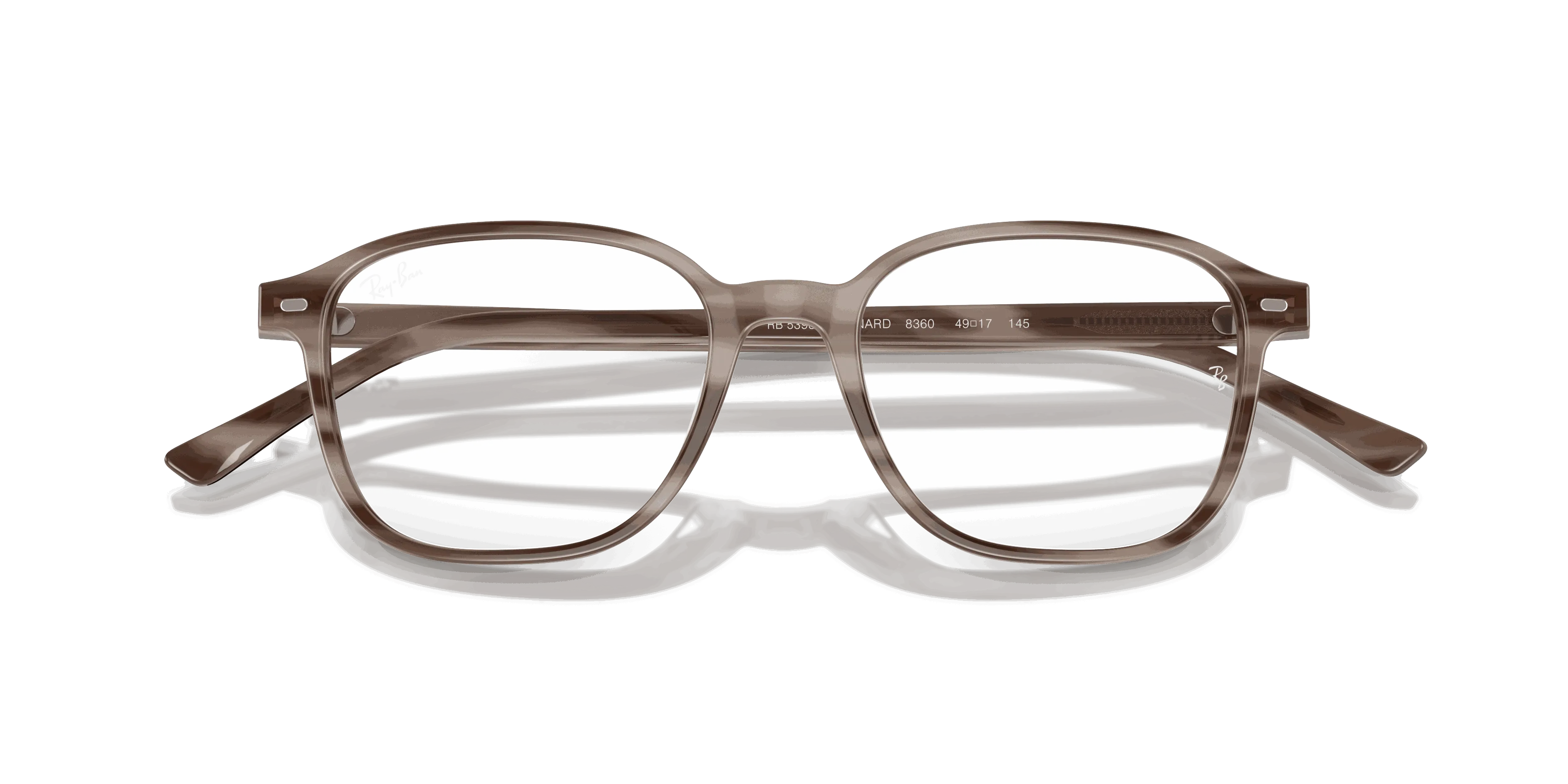 RayBan LEONARD OPTICS