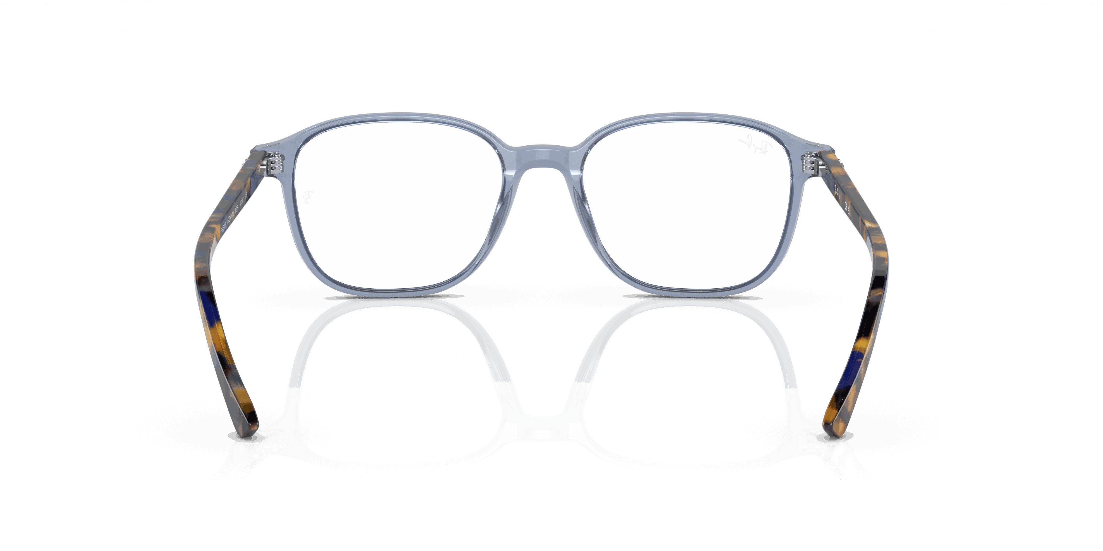 RayBan LEONARD OPTICS