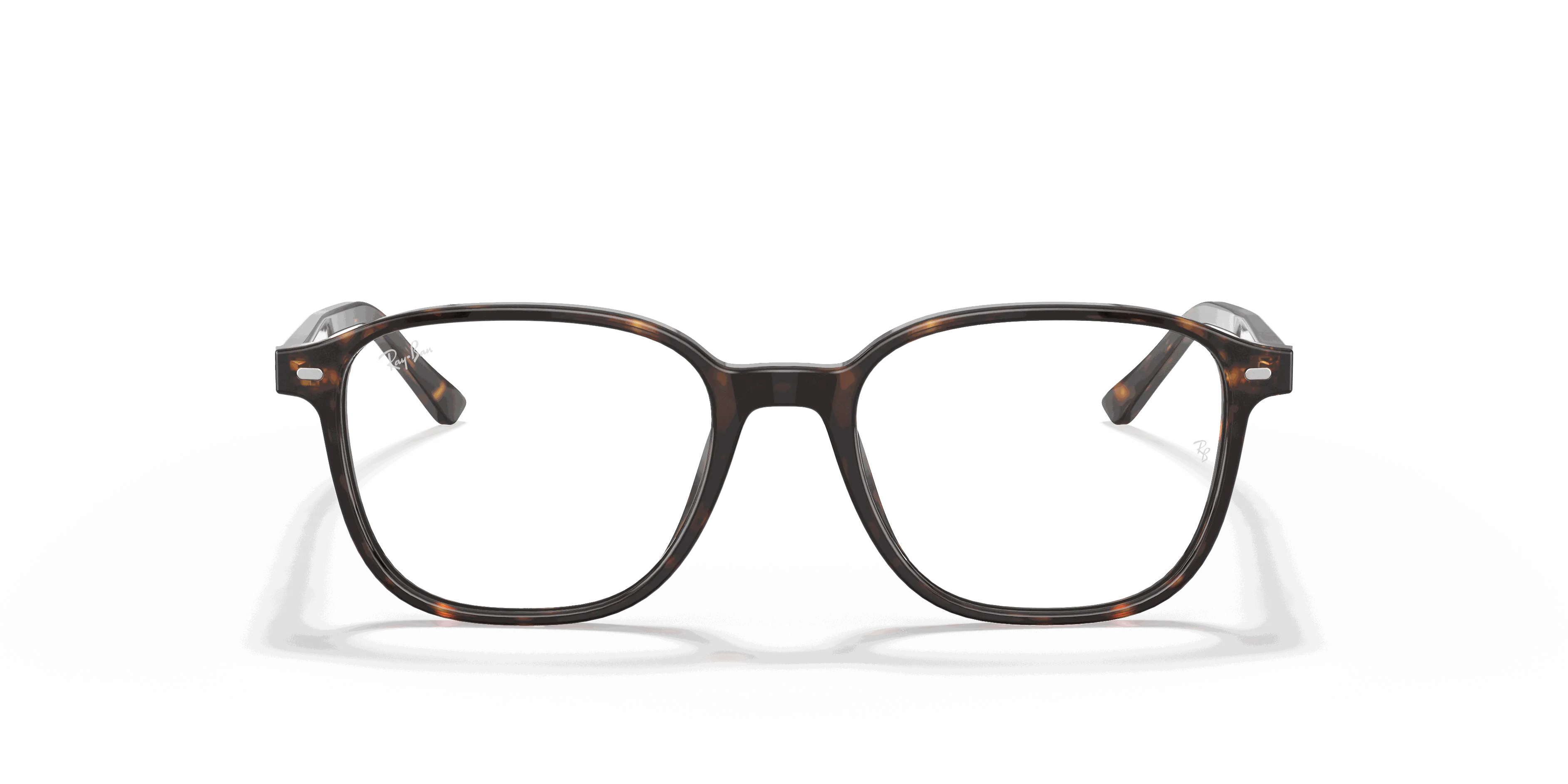 RayBan LEONARD OPTICS