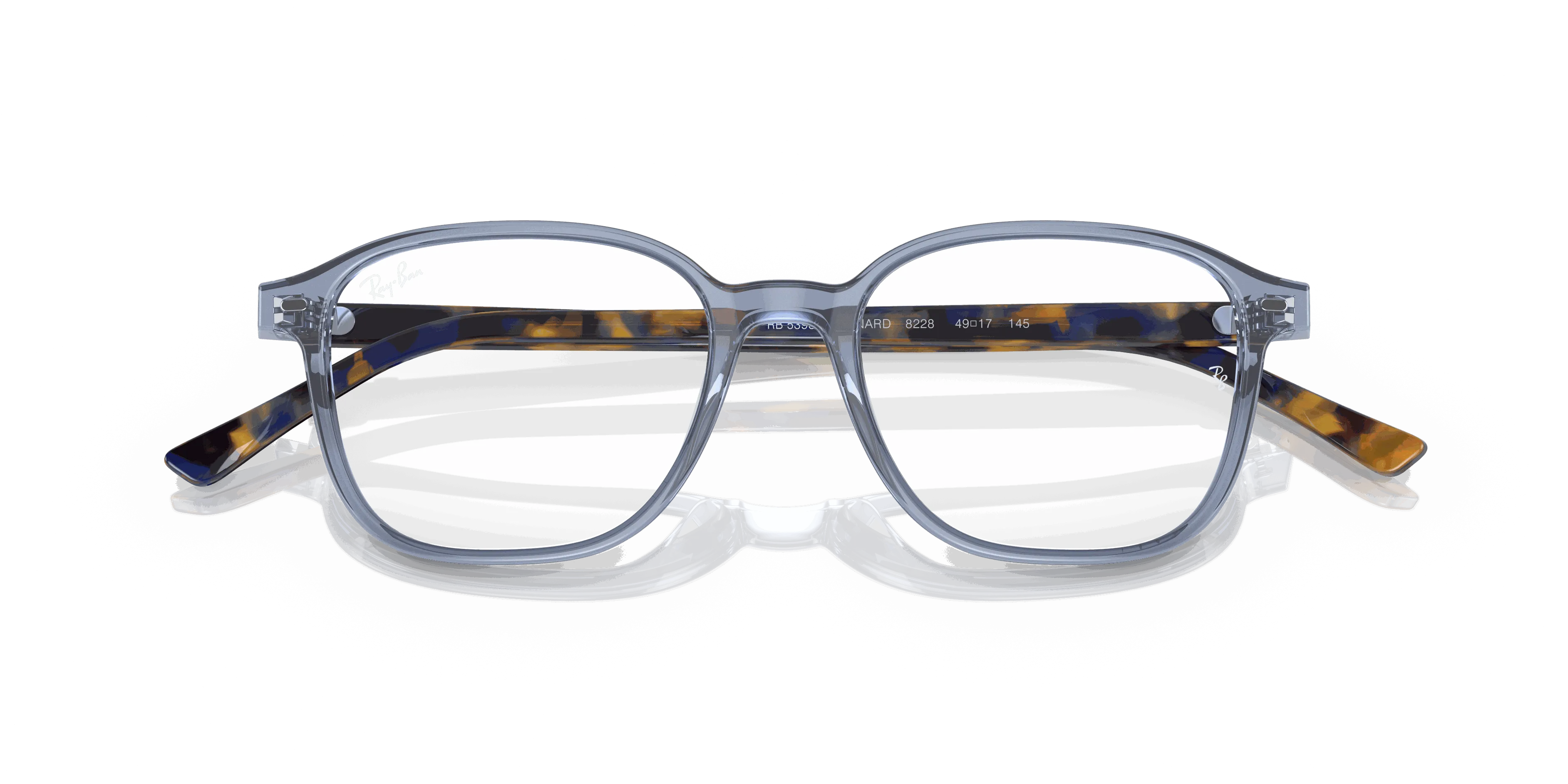 RayBan LEONARD OPTICS