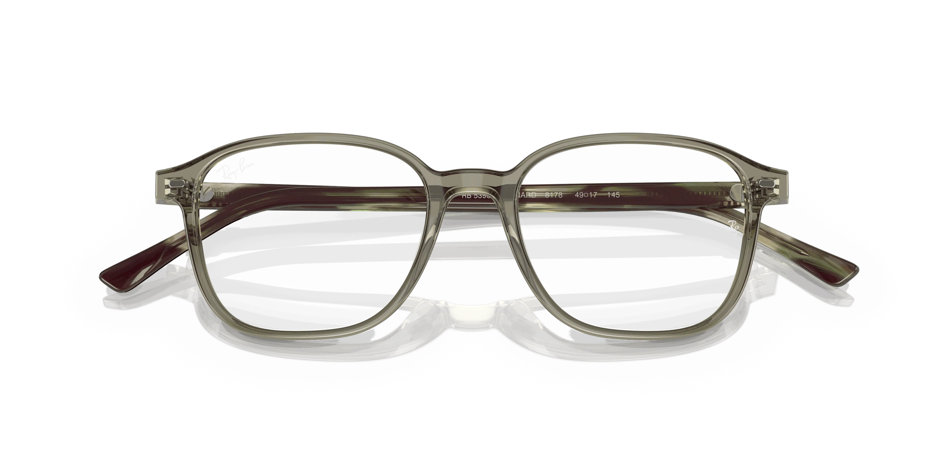 RayBan LEONARD OPTICS
