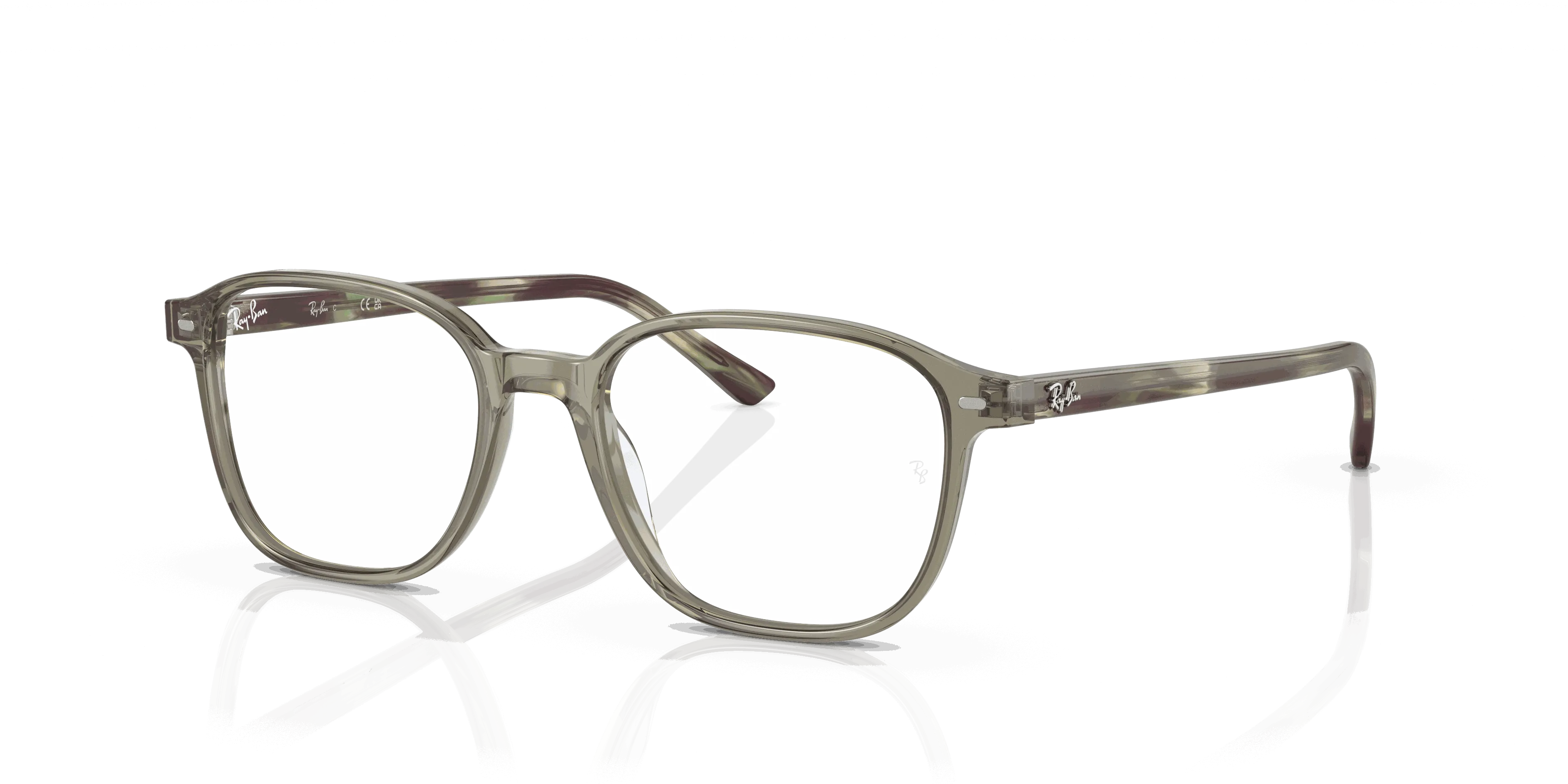 RayBan LEONARD OPTICS