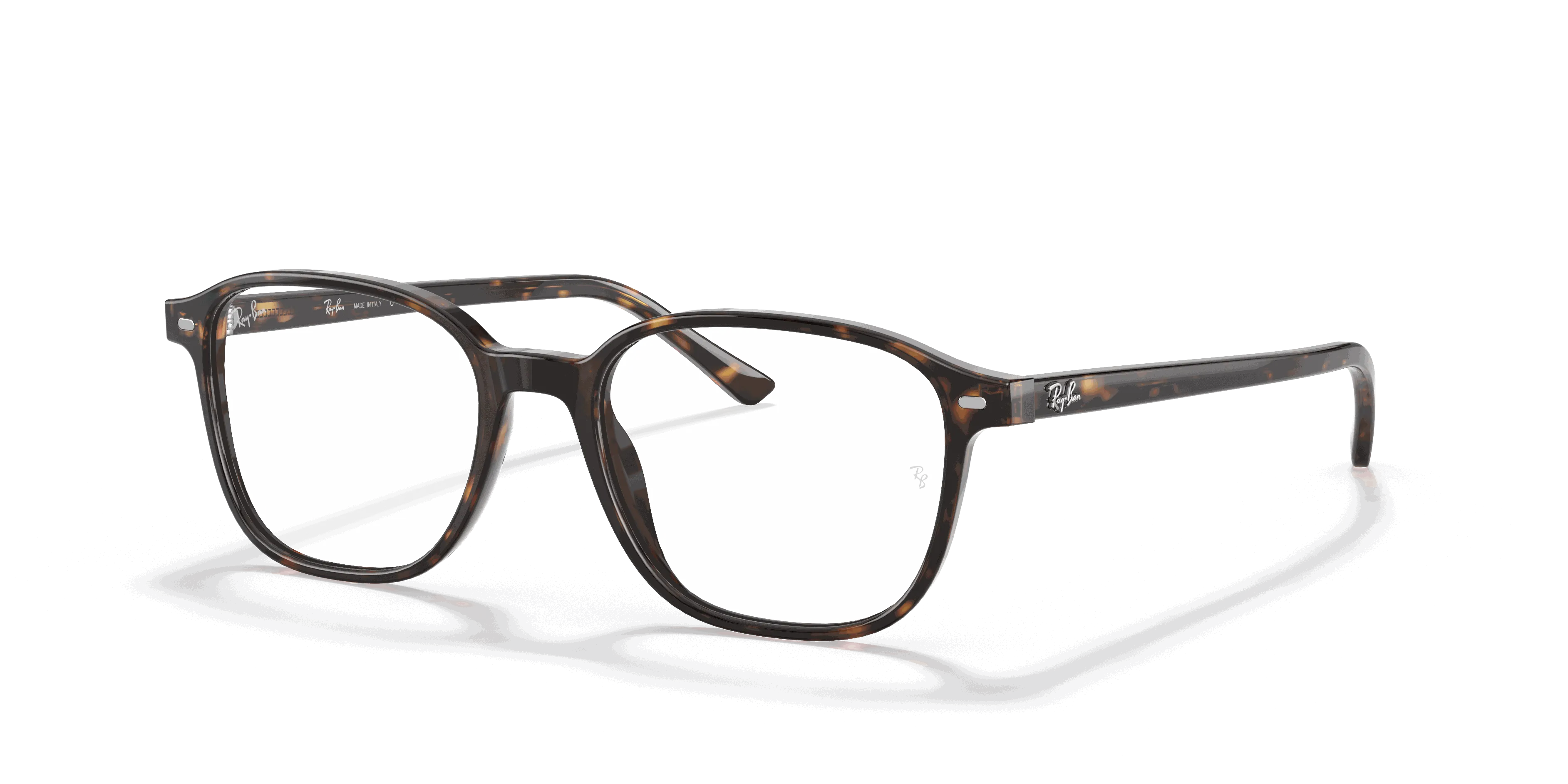 RayBan LEONARD OPTICS