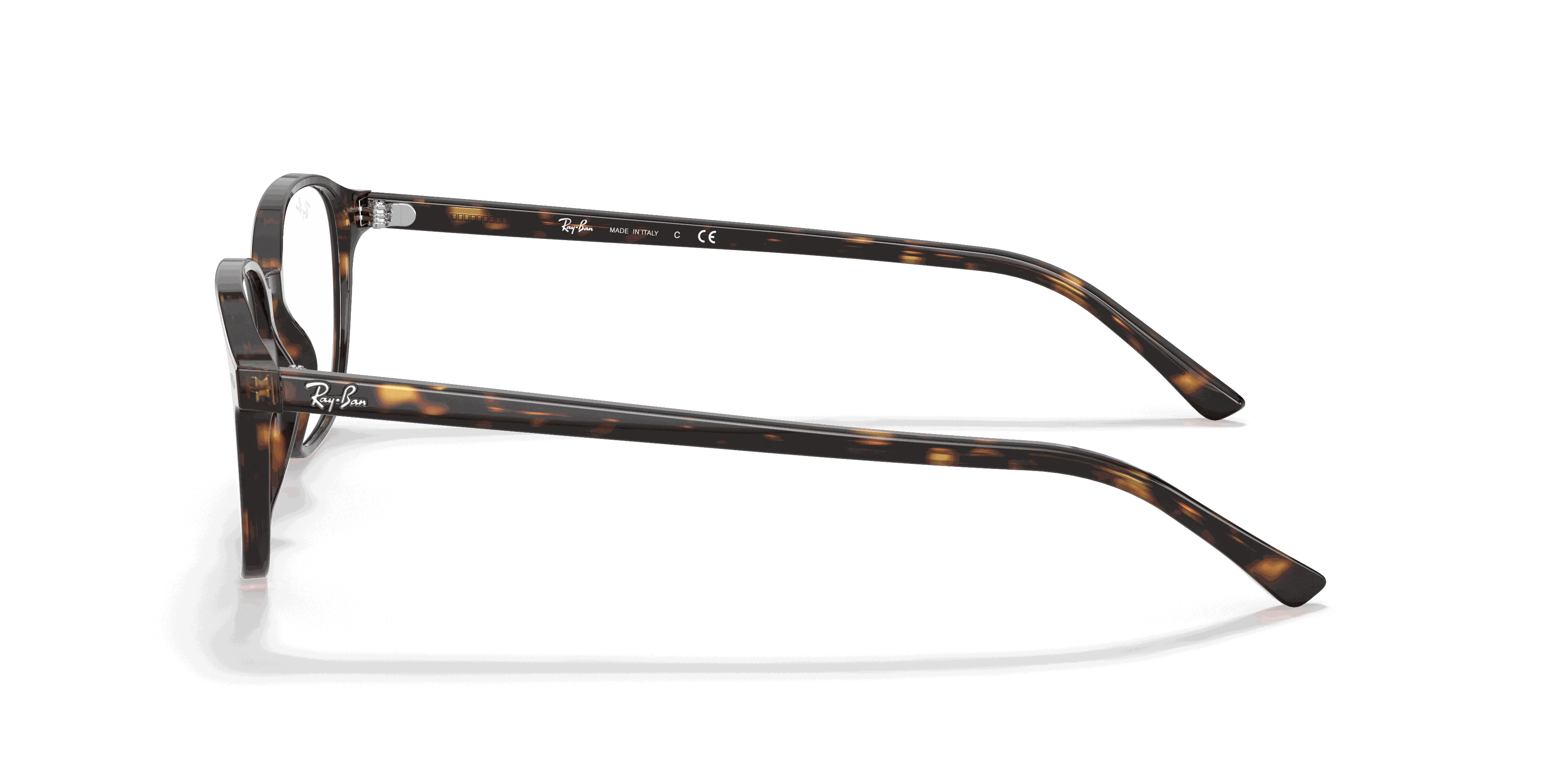 RayBan LEONARD OPTICS